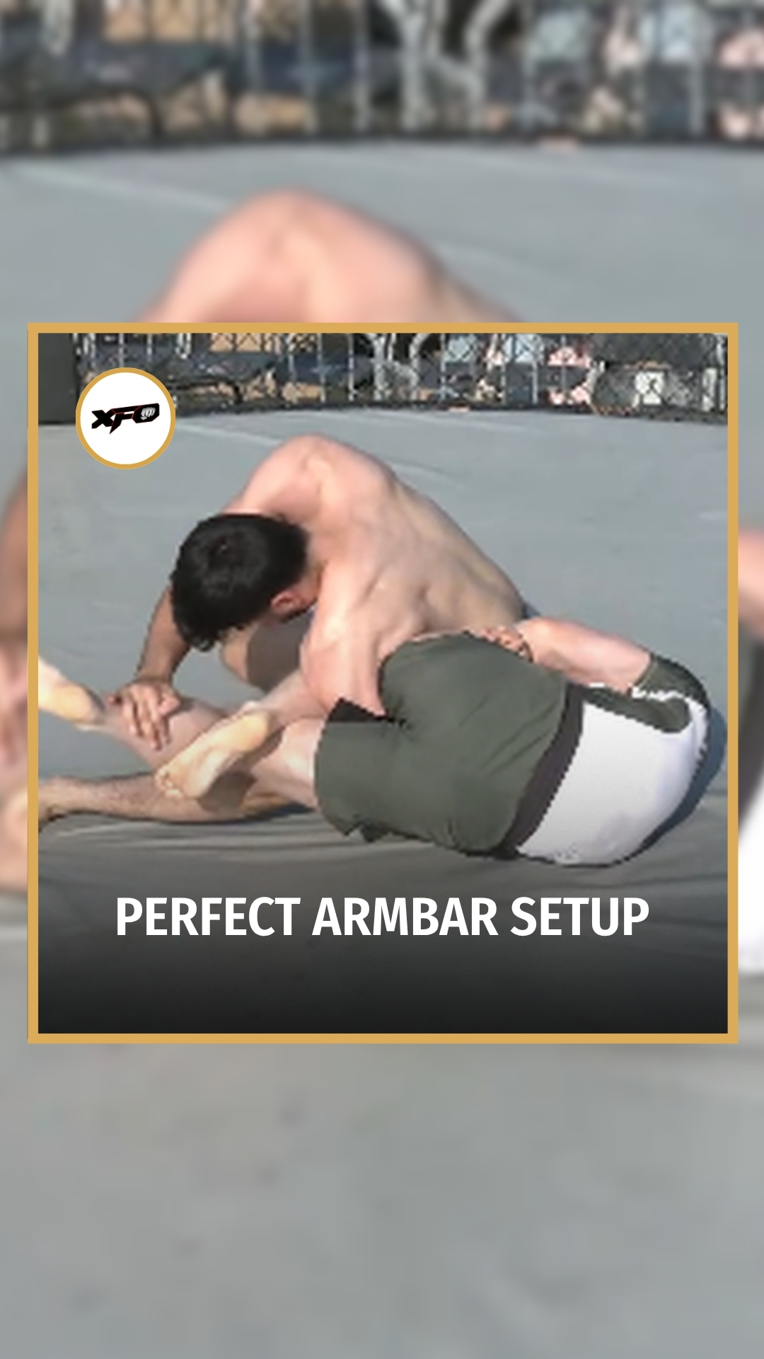 Will Gates: Perfect Armbar Setup | ... on MILLIONS Will Gates: Perfect Armbar Setup | ...