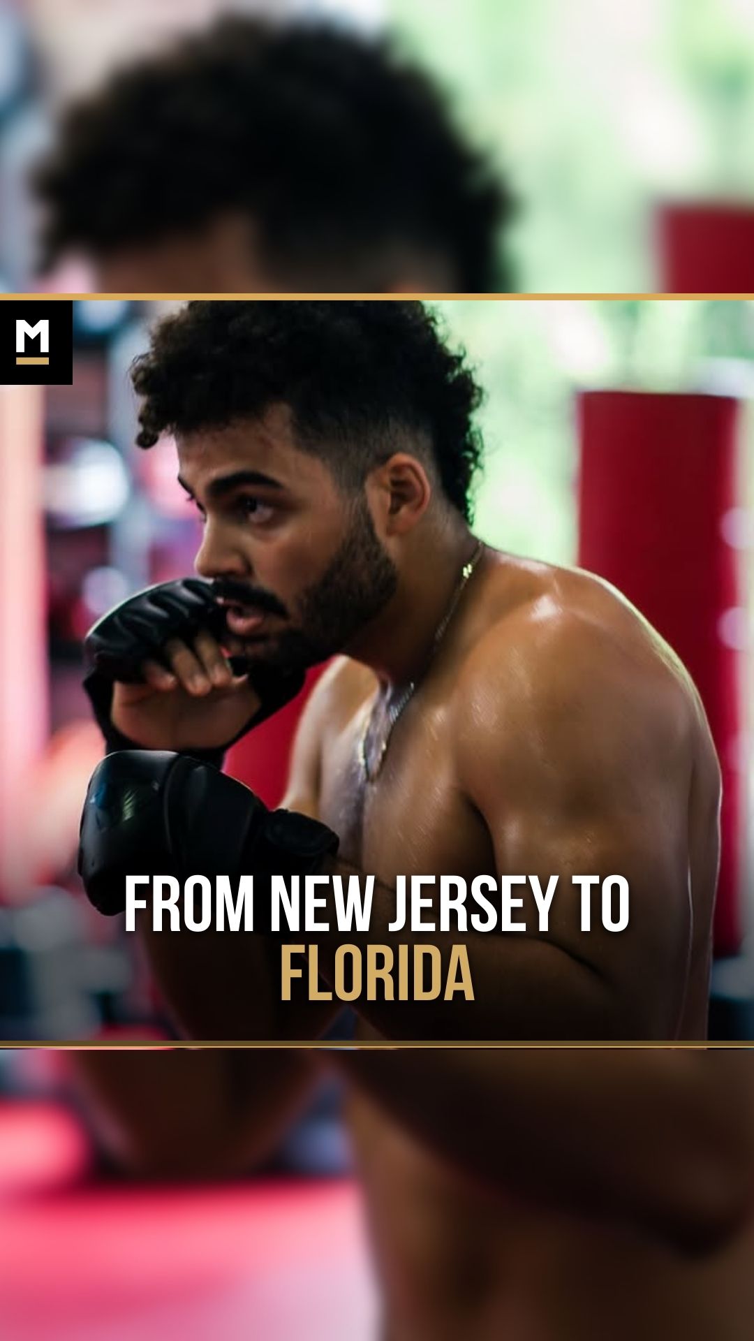 Blandino Olivero: From new jersey t...