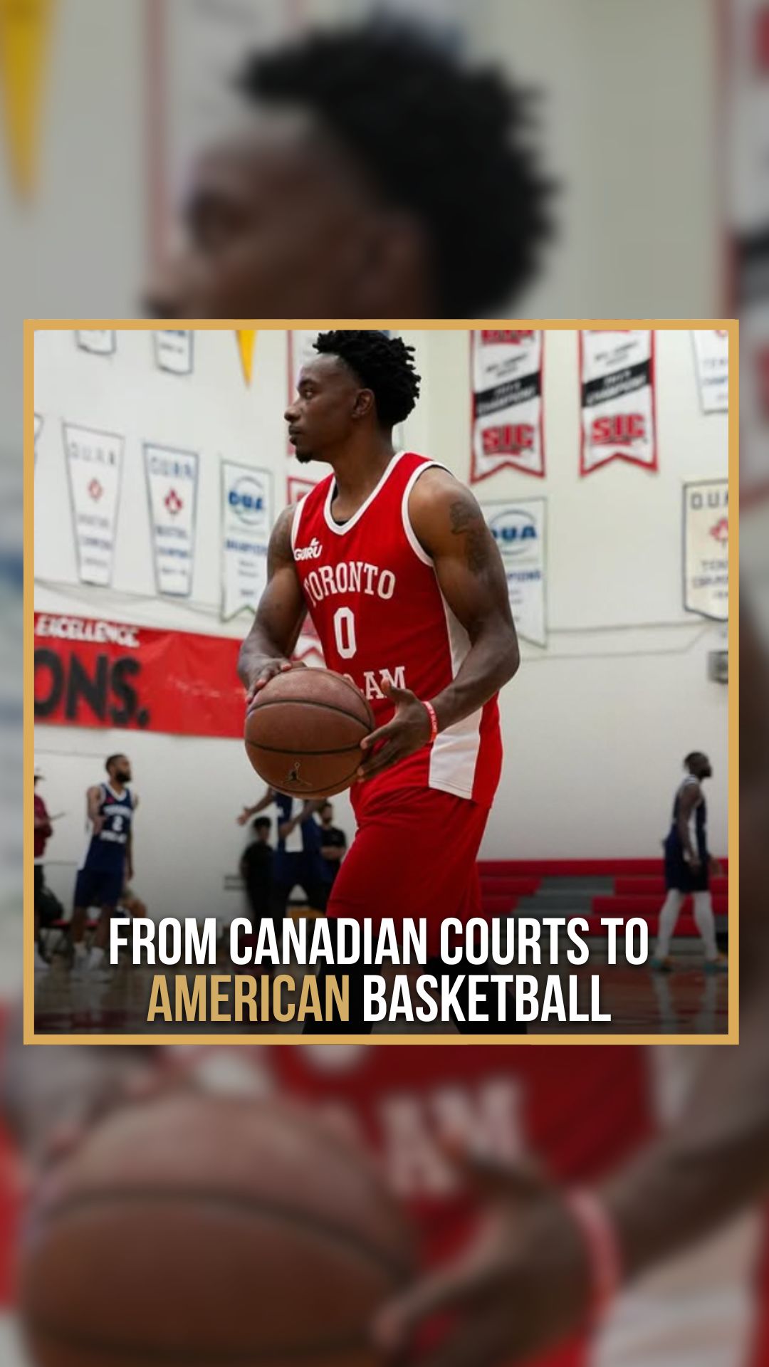 Alex Johnson: A Basketball Journey ...