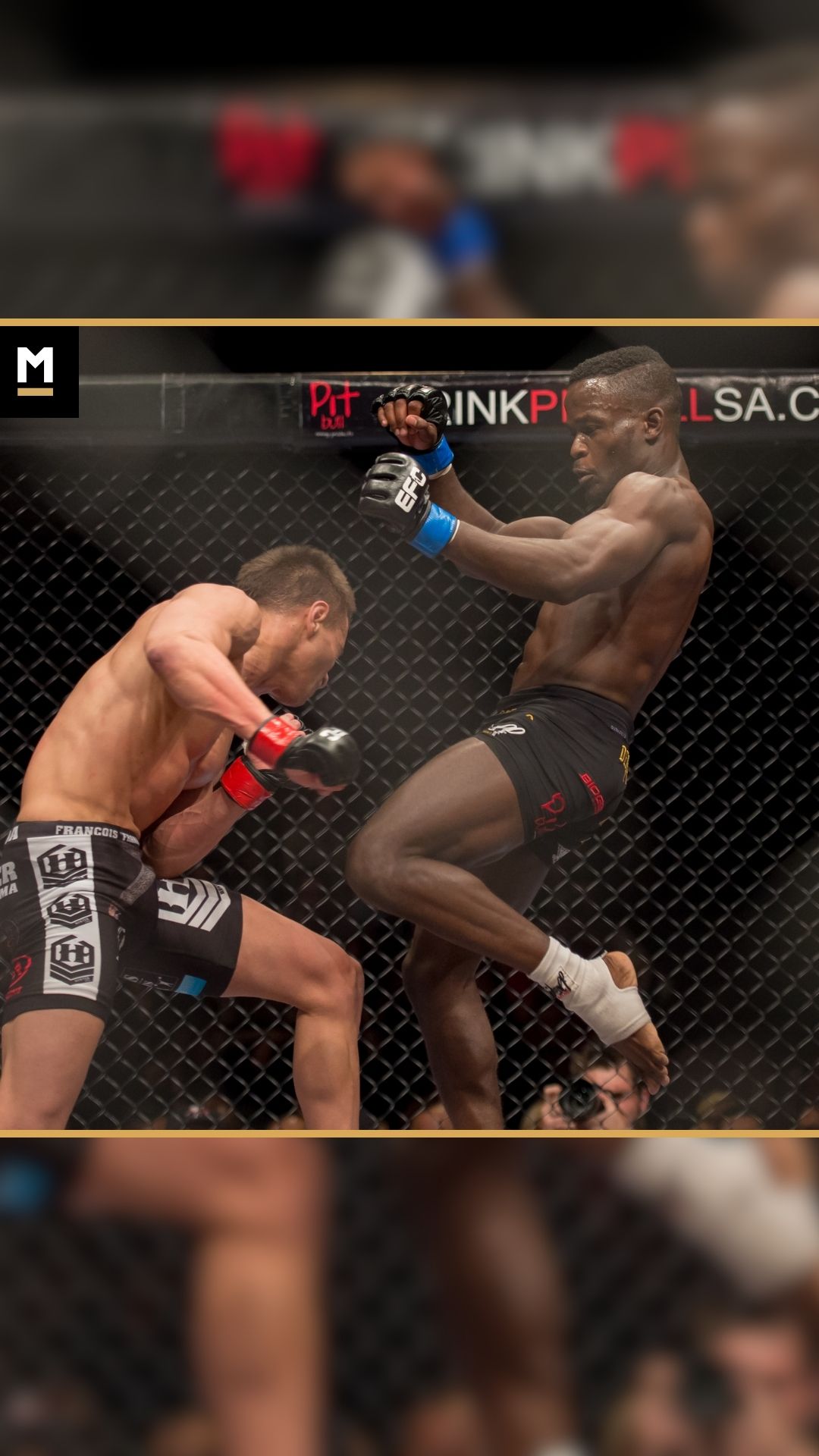 Devin Pegg: appreciates boxing arti...