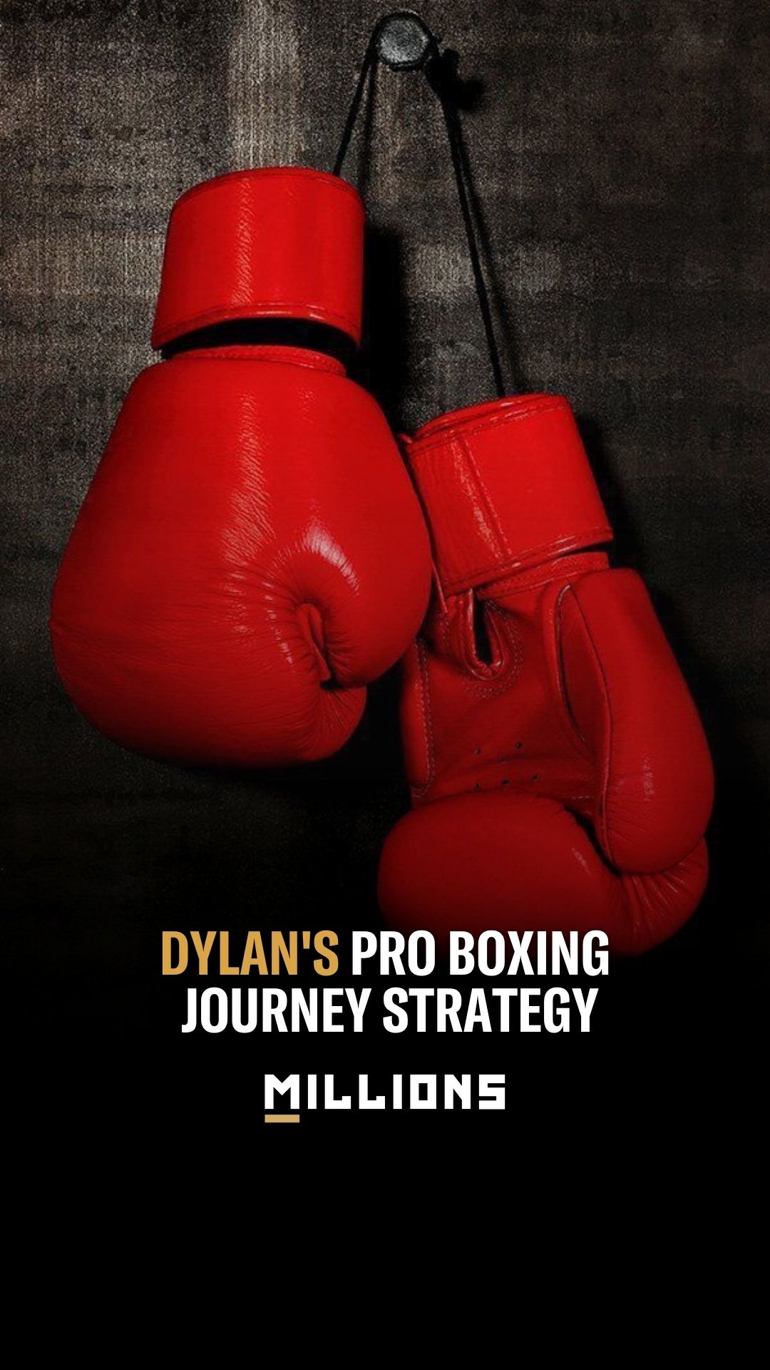 Dylan Holley: Dylan's Pro Boxing Jo...