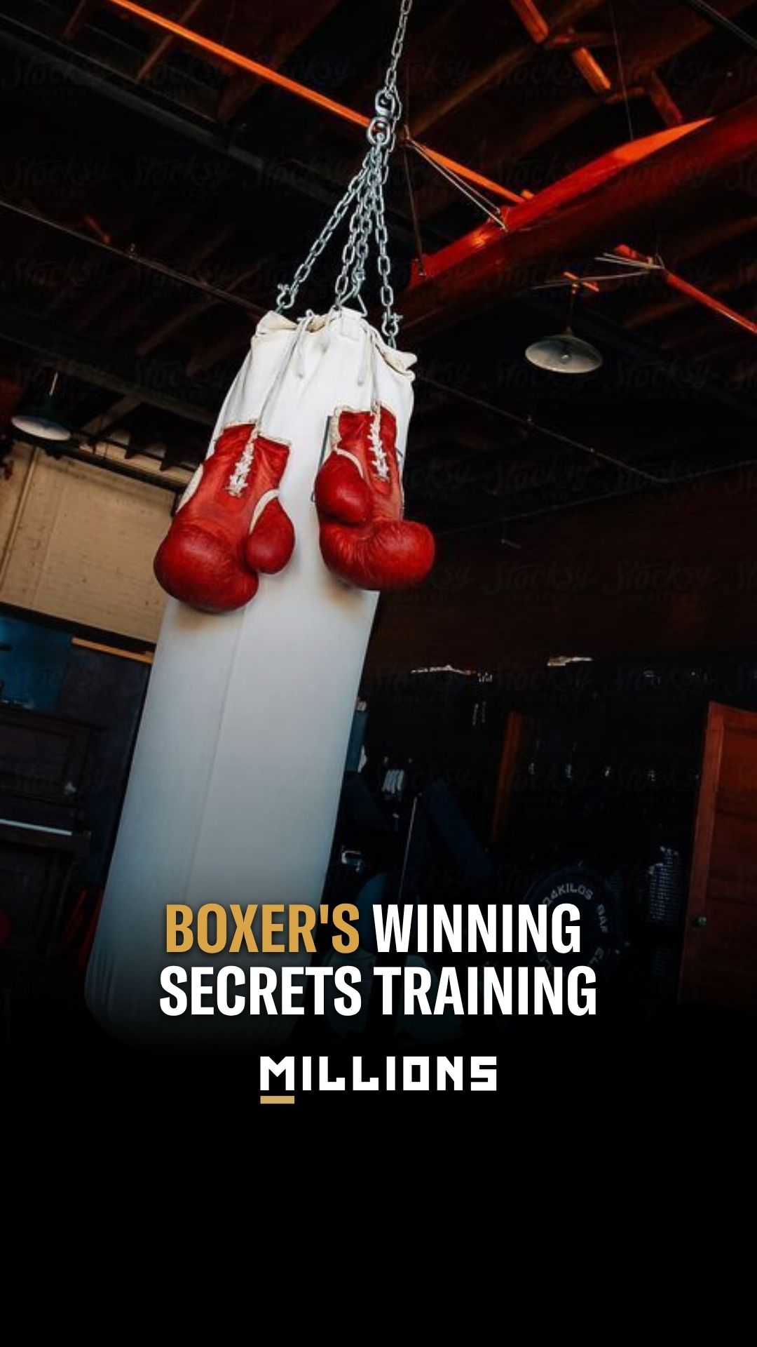 Dylan Holley: Boxer's Winning Secre...