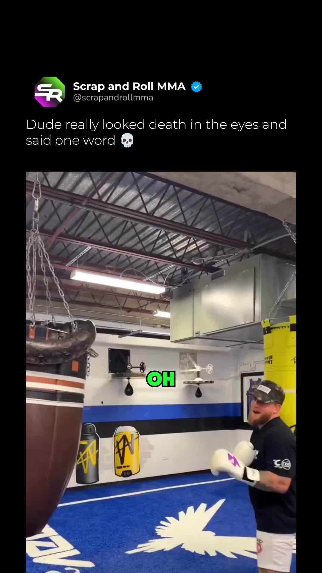 Jake Paul's reaction to a snake in ...