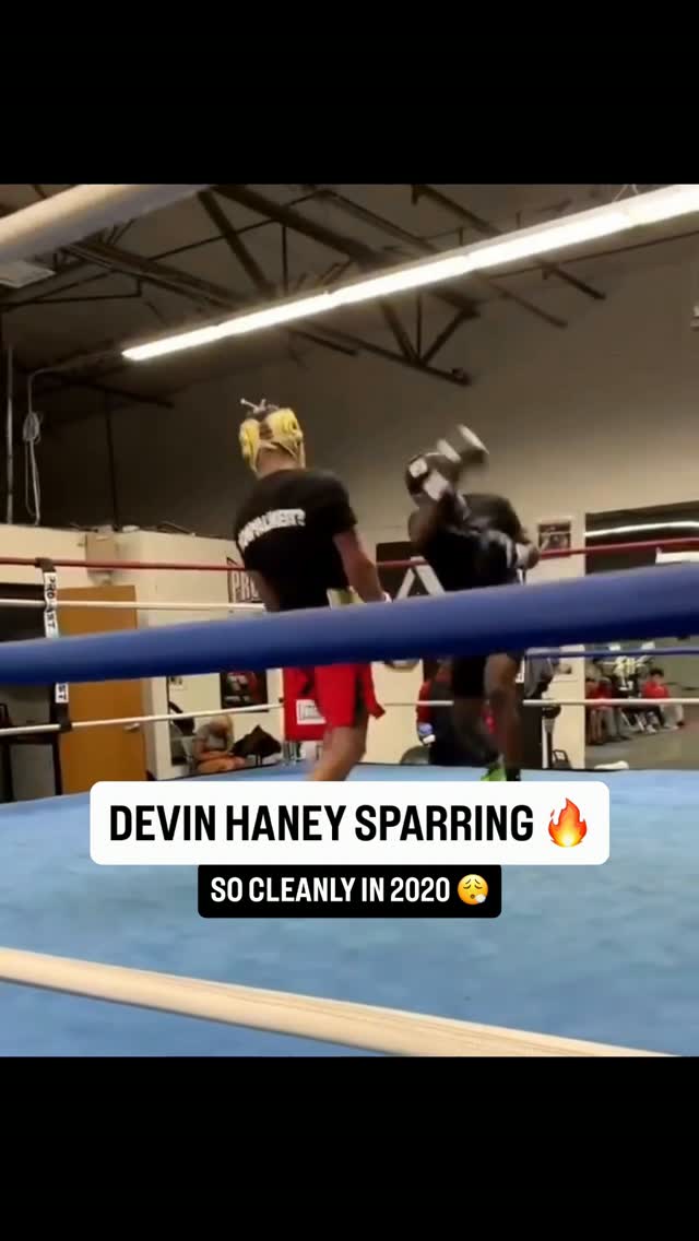 Devin Haney sparring in 2020