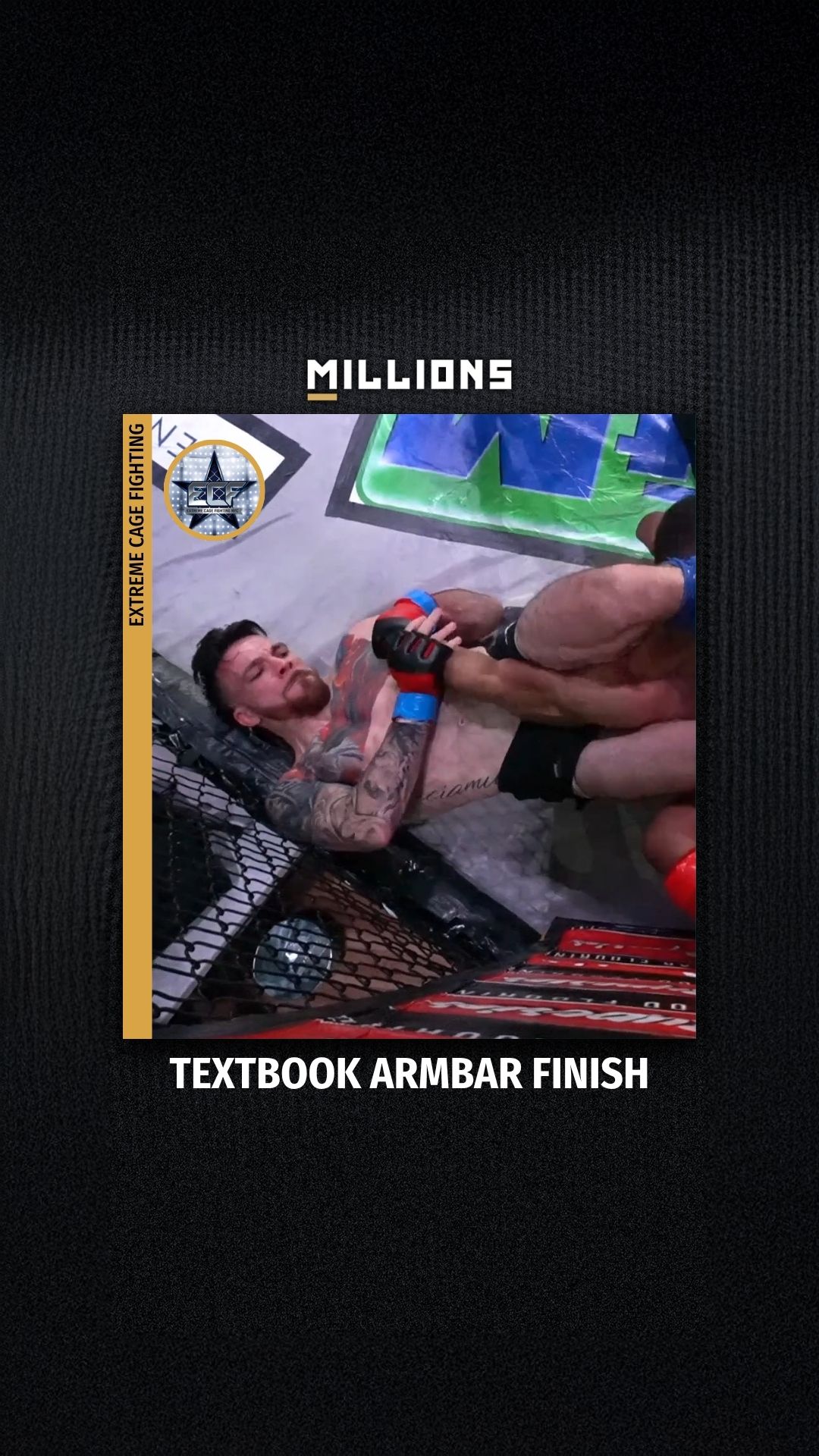 Extreme Cage Fighting: Textbook Arm...