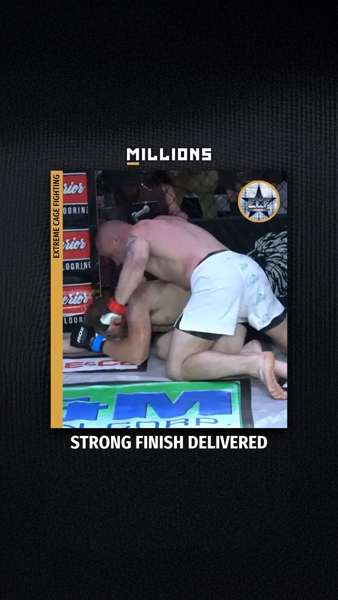 Extreme Cage Fighting: Strong Finis...
