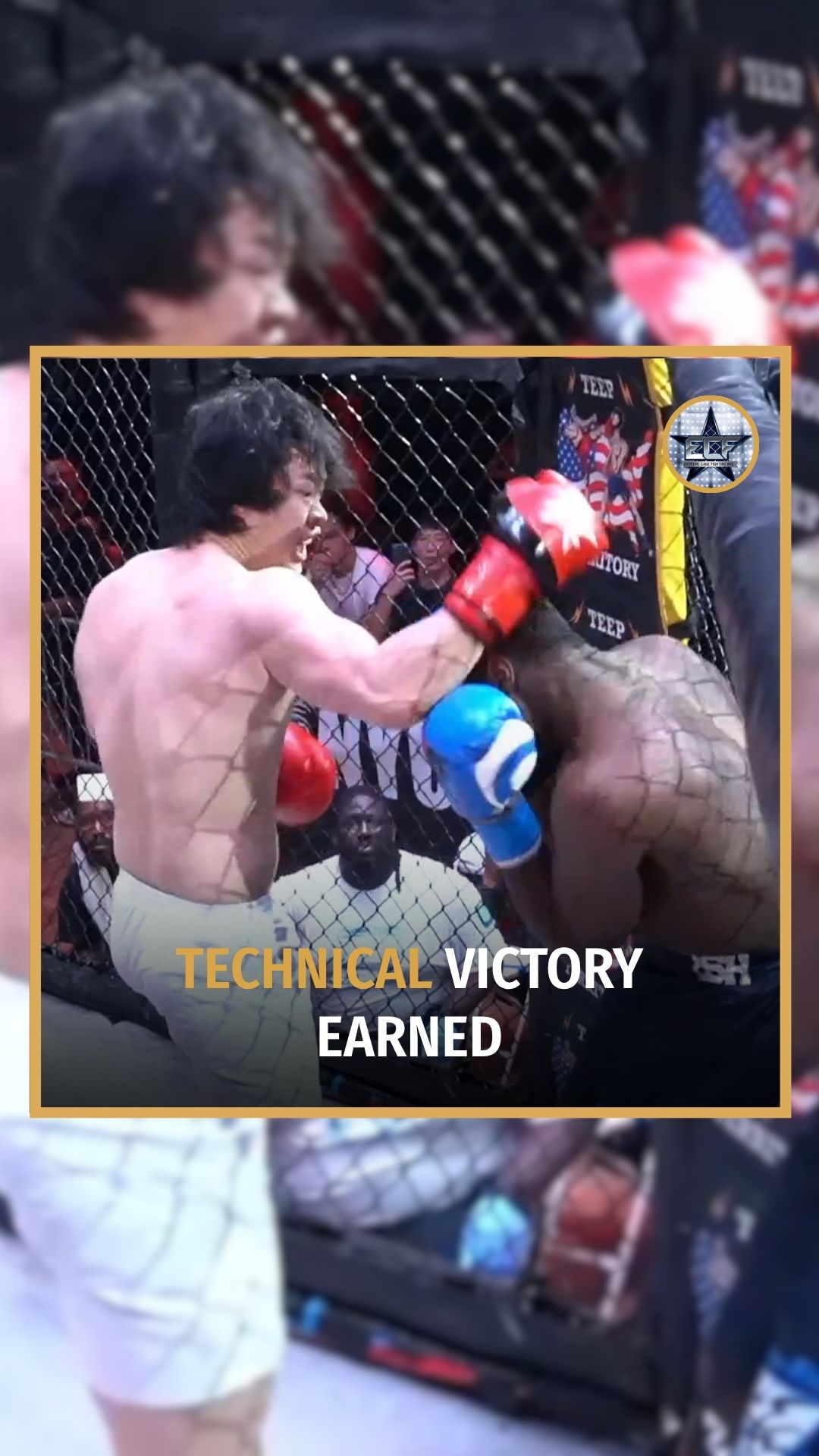 Extreme Cage Fighting: Technical Vi...