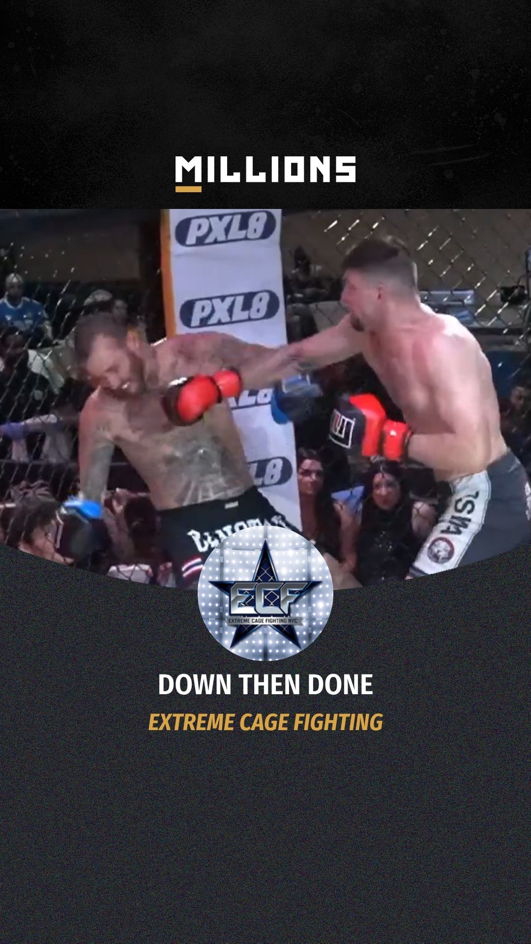 Extreme Cage Fighting: Down Then Do...