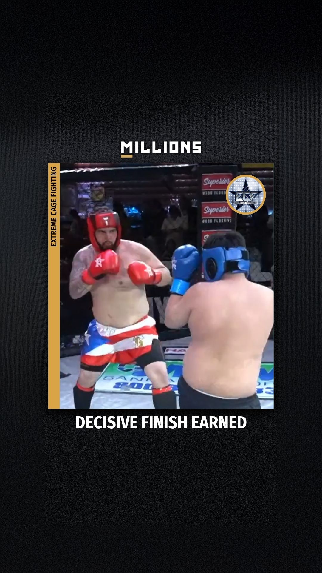 Extreme Cage Fighting: Decisive Fin...