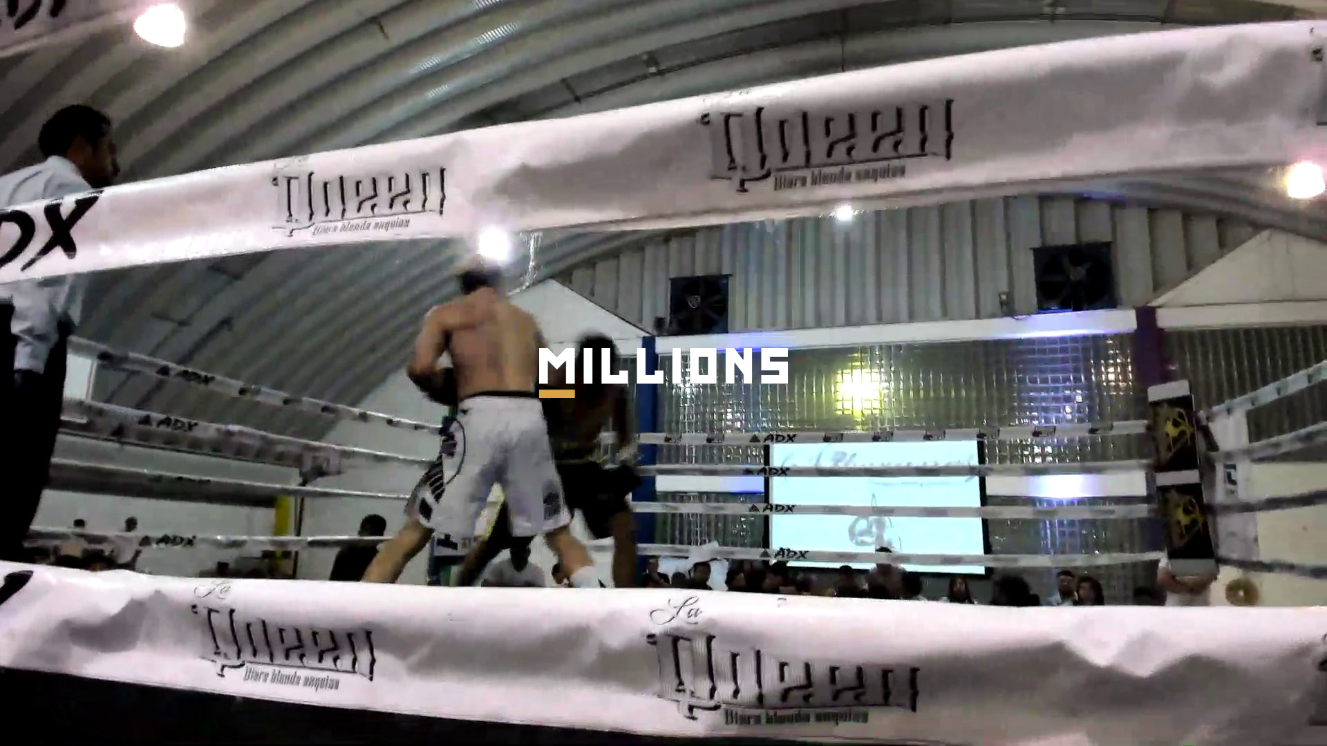 Loiseau vs Montes, Pro Boxing PPV —...