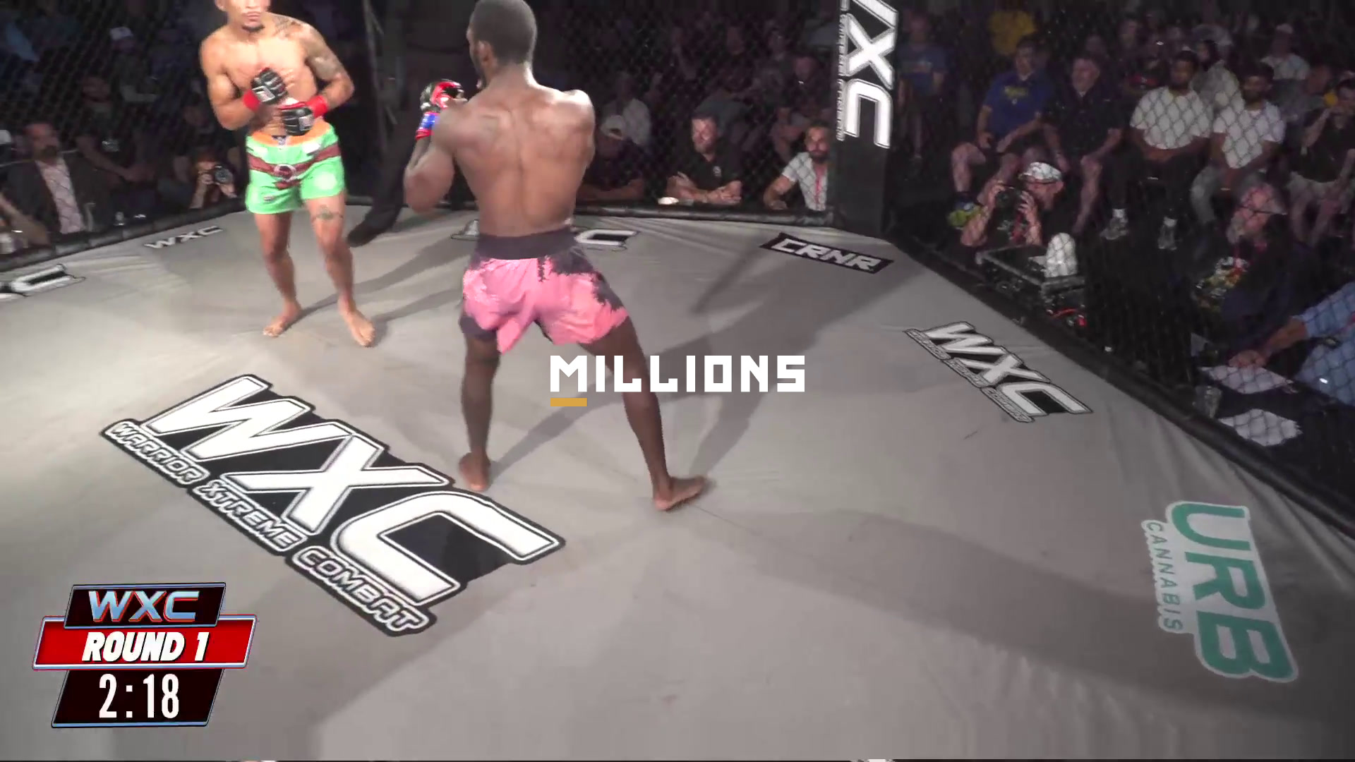 WXC 101: Summer Scorcher | Live MMA...
