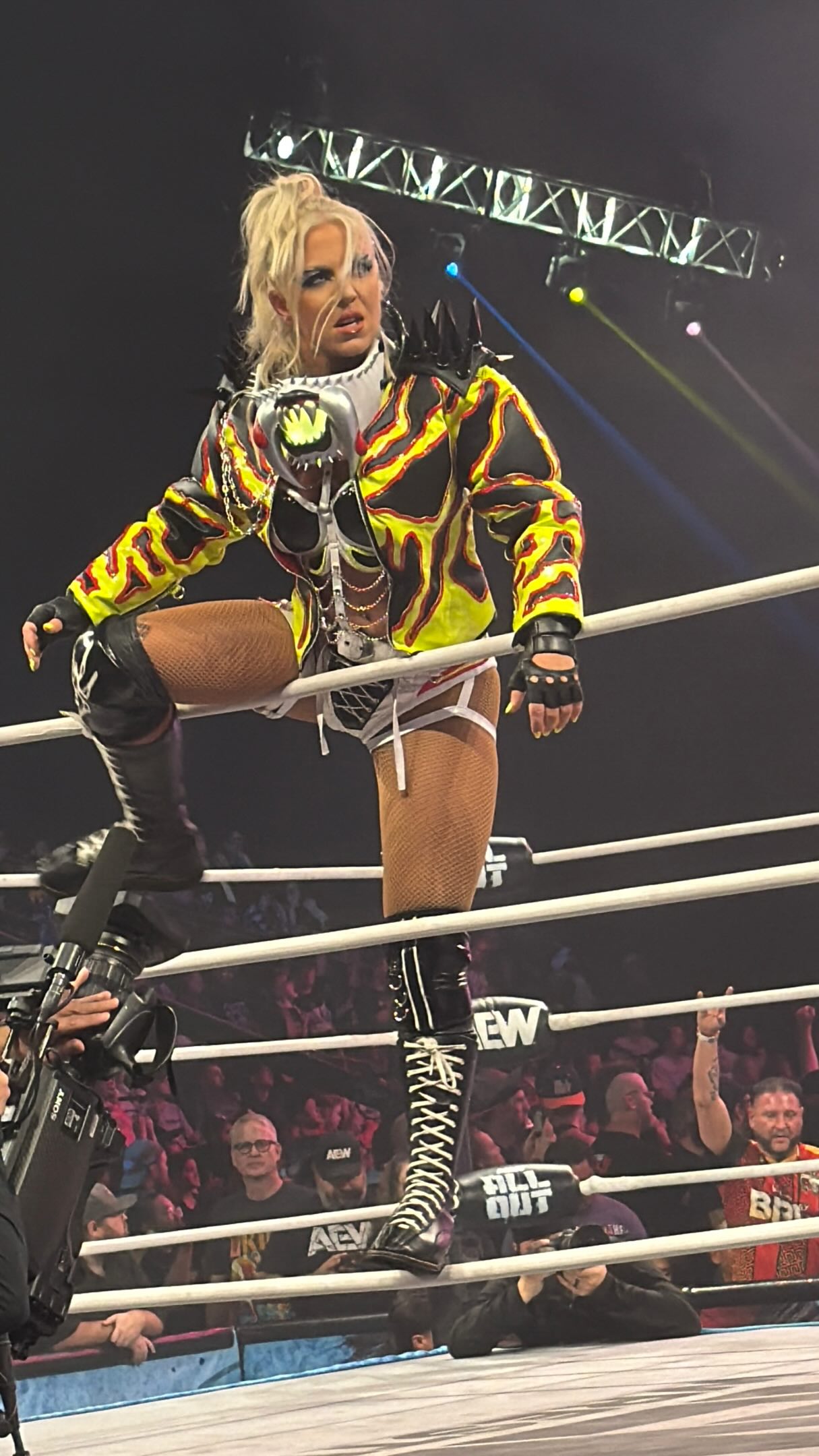 The Toxic Spider (Thekla) doing her...