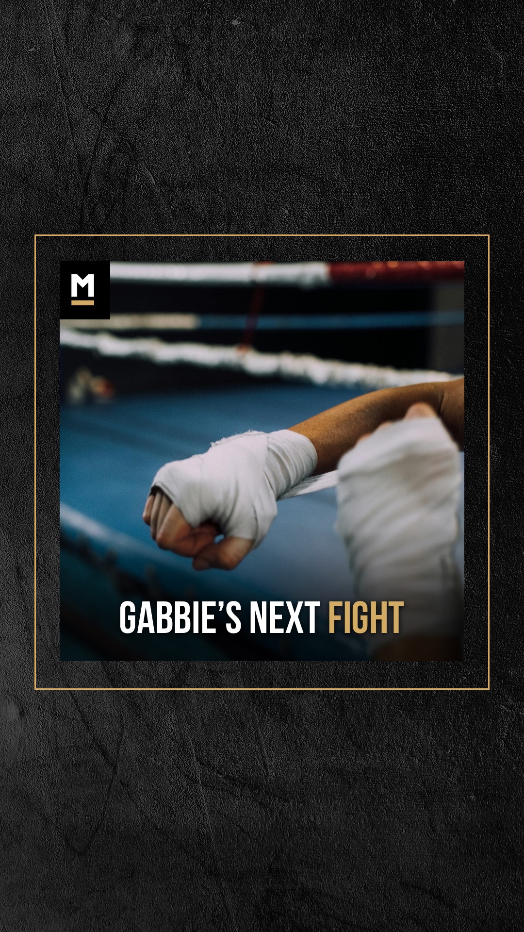Gabbie Scharett: Gabbie's Next Figh...