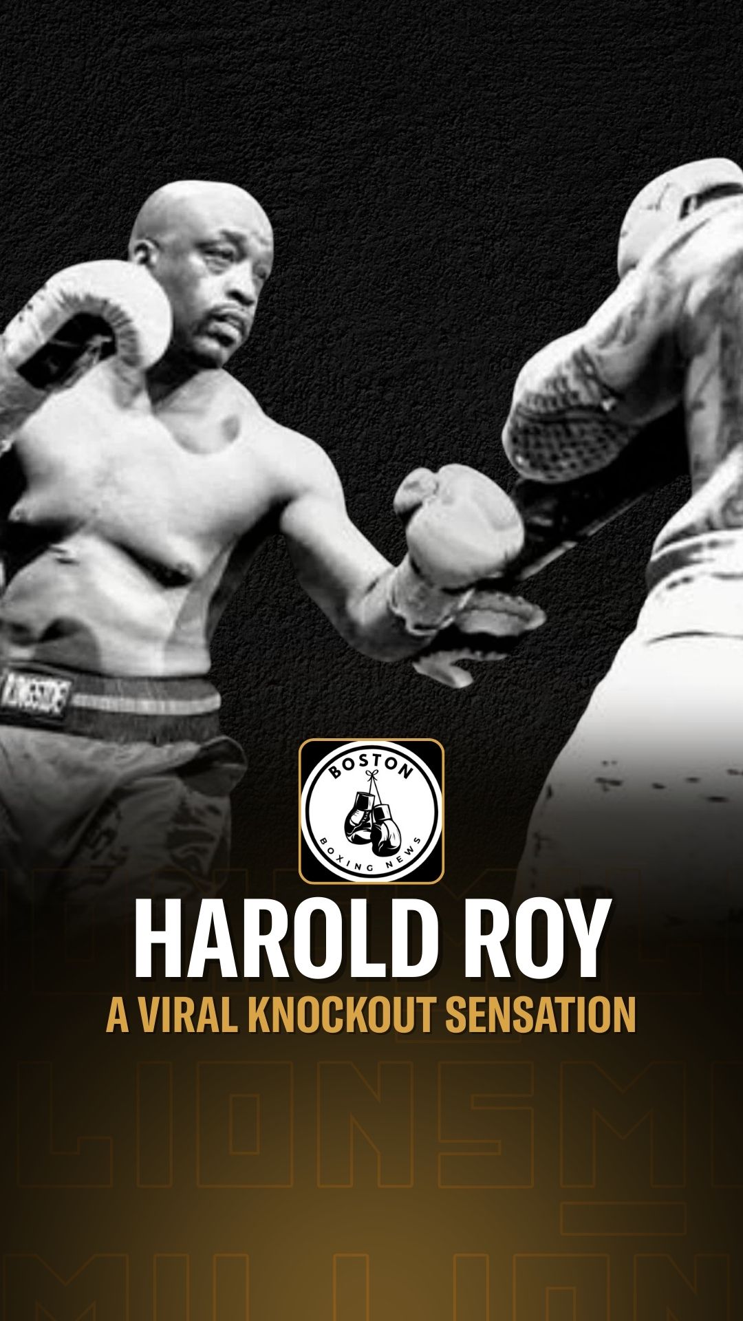 Harold Roy: A Viral Knockout Sensat...