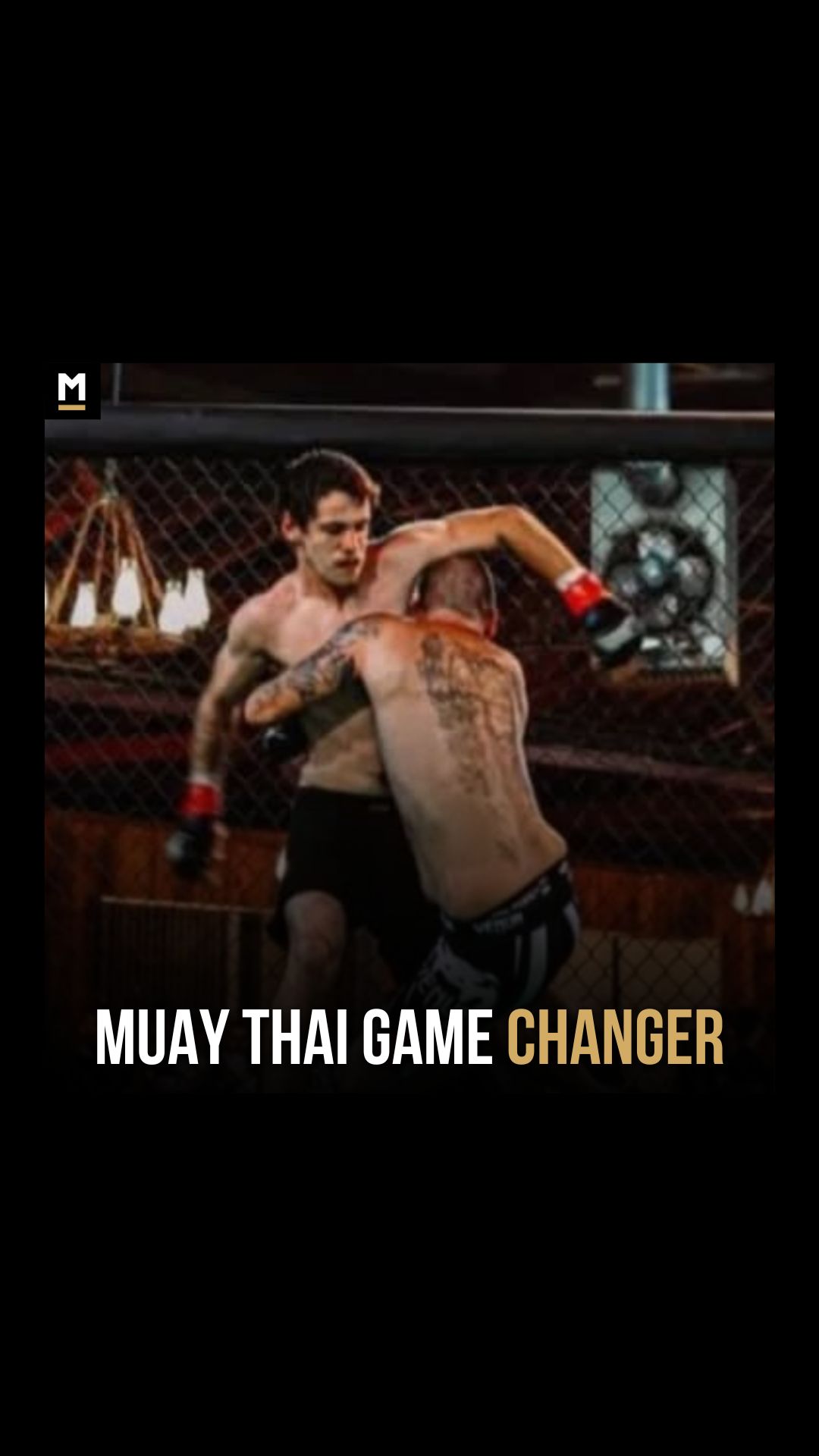 Hunter Niswender: The Fight Camp Tr...