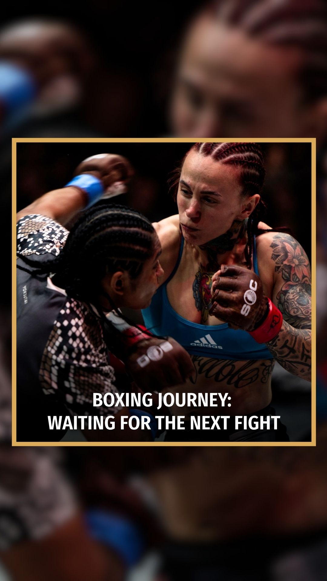 Aitana Álvarez: Boxing Journey: Wai... on MILLIONS Aitana Álvarez: Boxing Journey: Wai...
