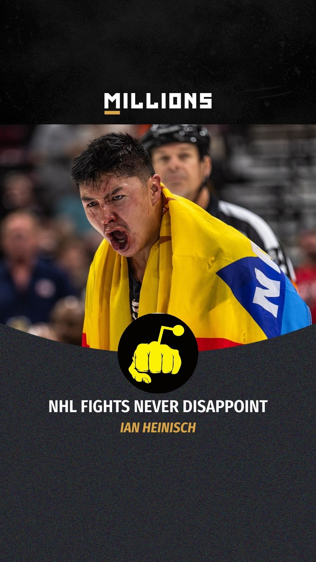 Ian Heinisch: NHL Fights Never Disa...