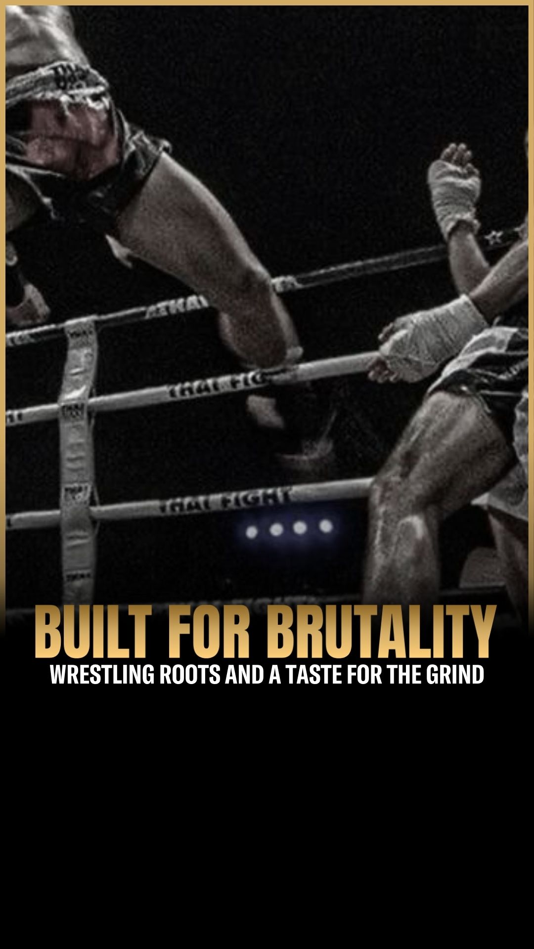Jermain Taylor: The Ground-and-Poun...