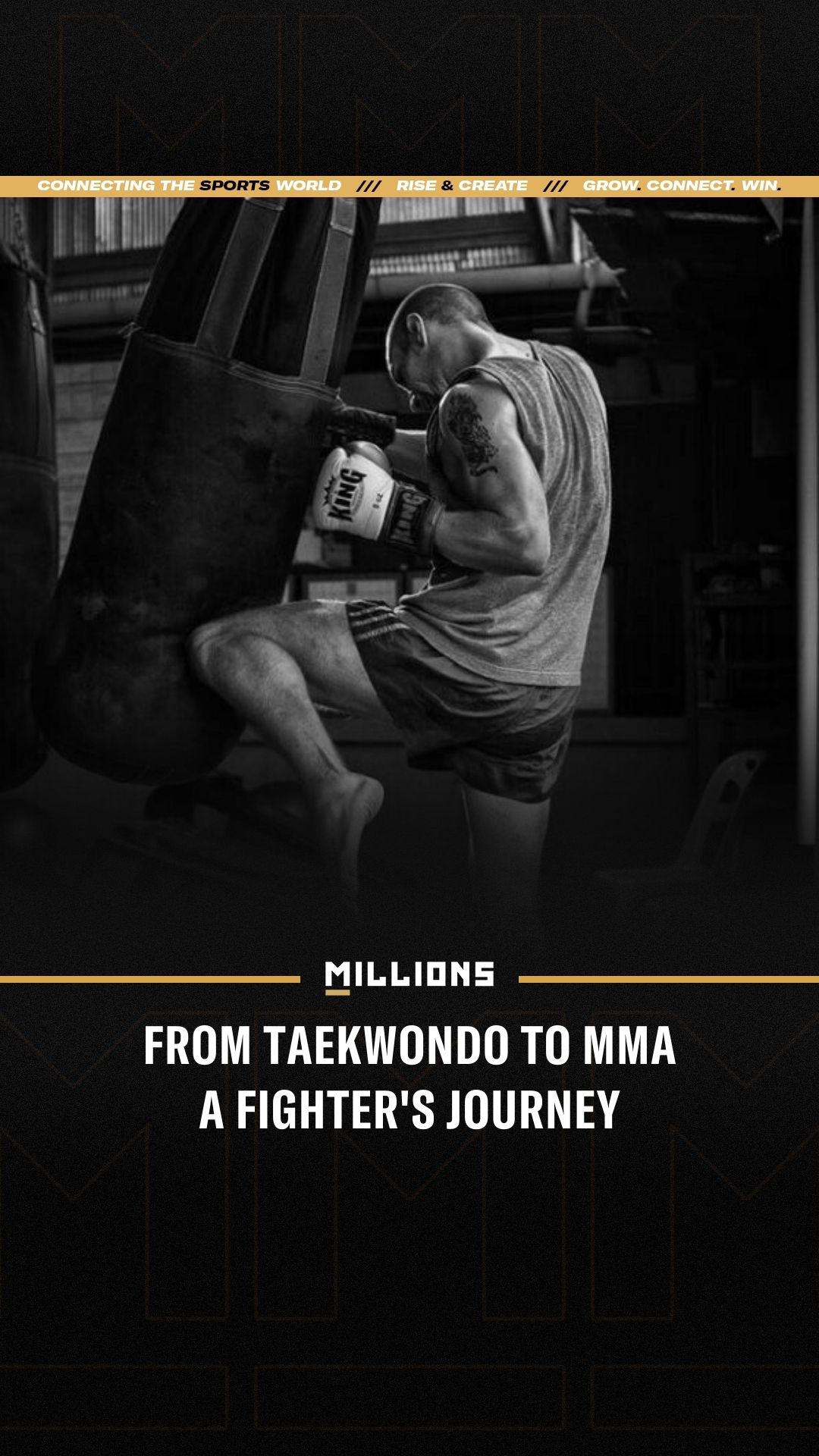 Jermain Taylor: From Taekwondo to M...