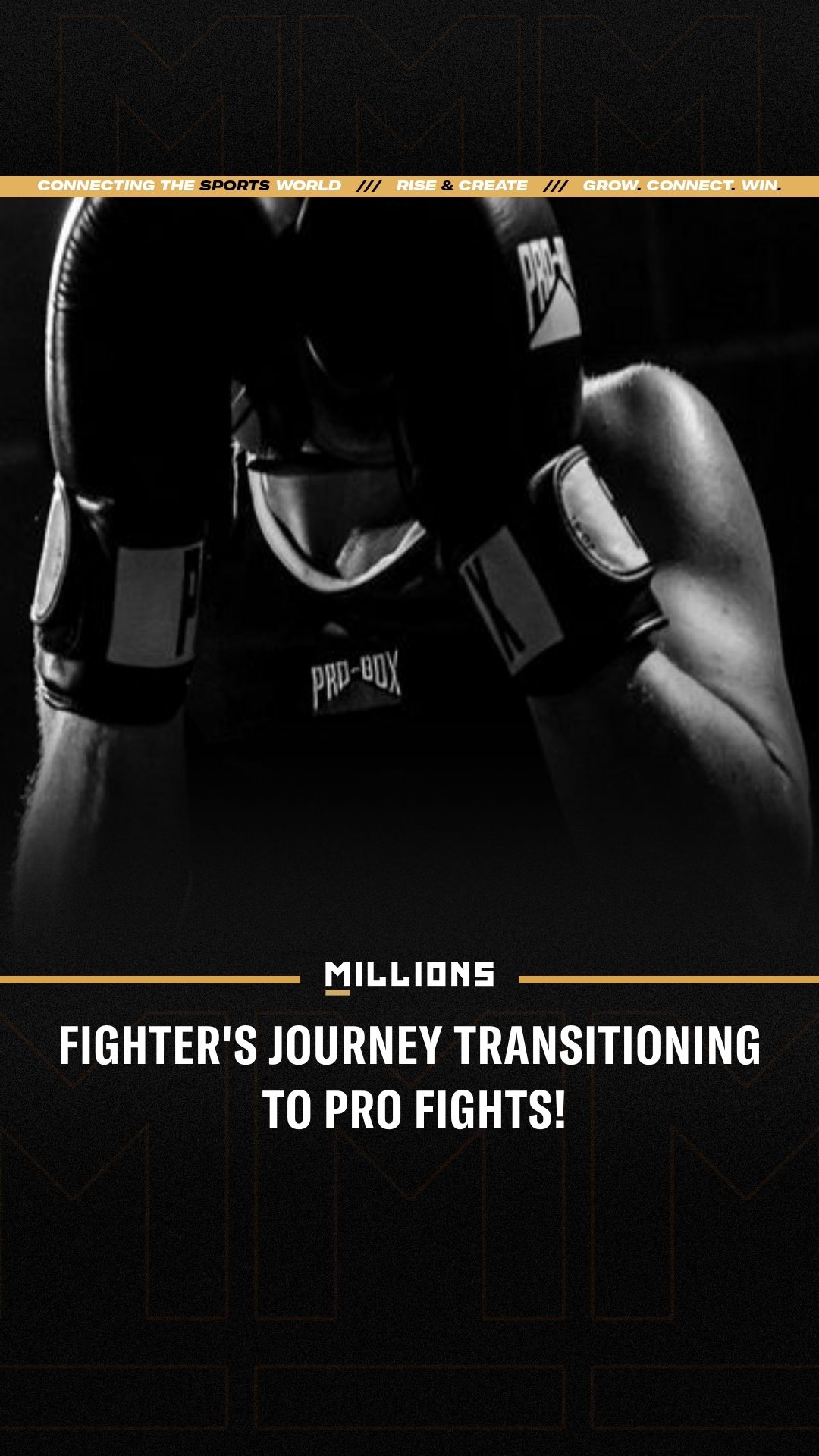 Jermain Taylor: Fighter's Journey T...