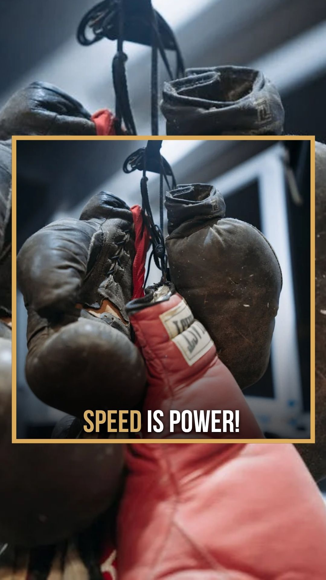 Jordan Patterson: Fighter Evolution...