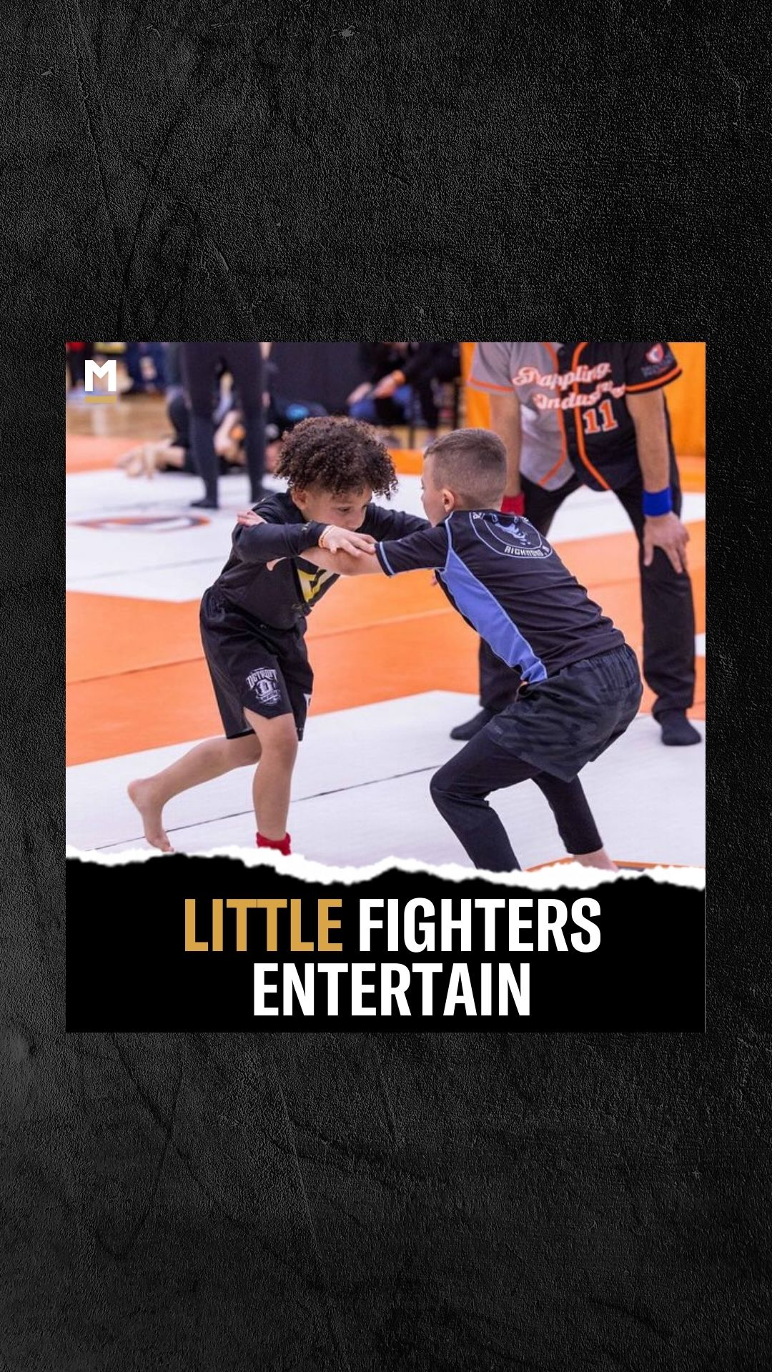 Joshua Johnson: Little Fighters Ent...