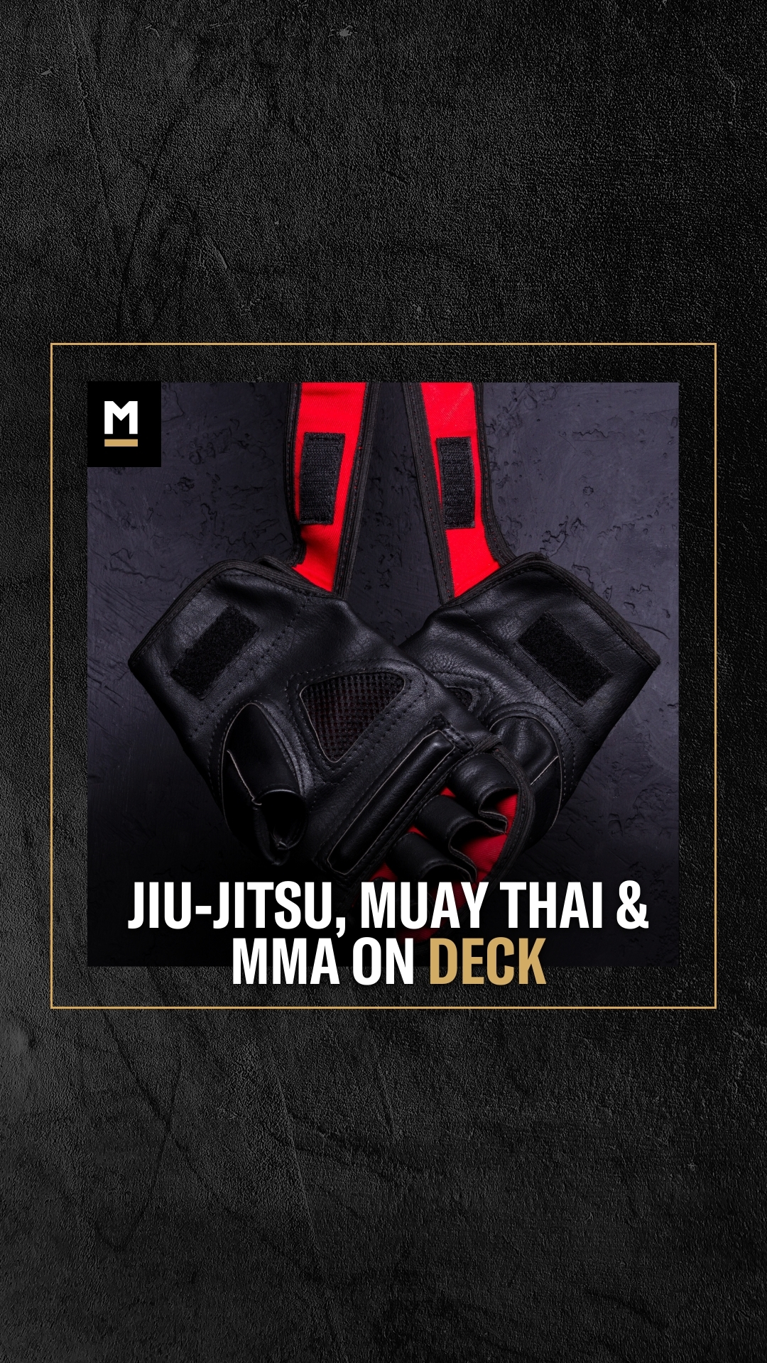 Kevin Wu: Jiu-jitsu, Muay Thai & Mm...