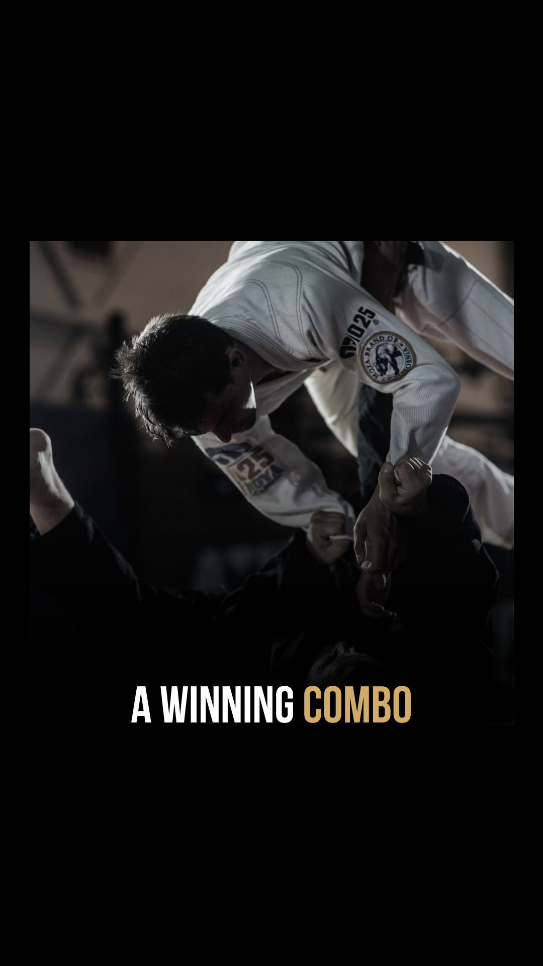 Kevin Yamashita: Jiu-Jitsu And MMA:...