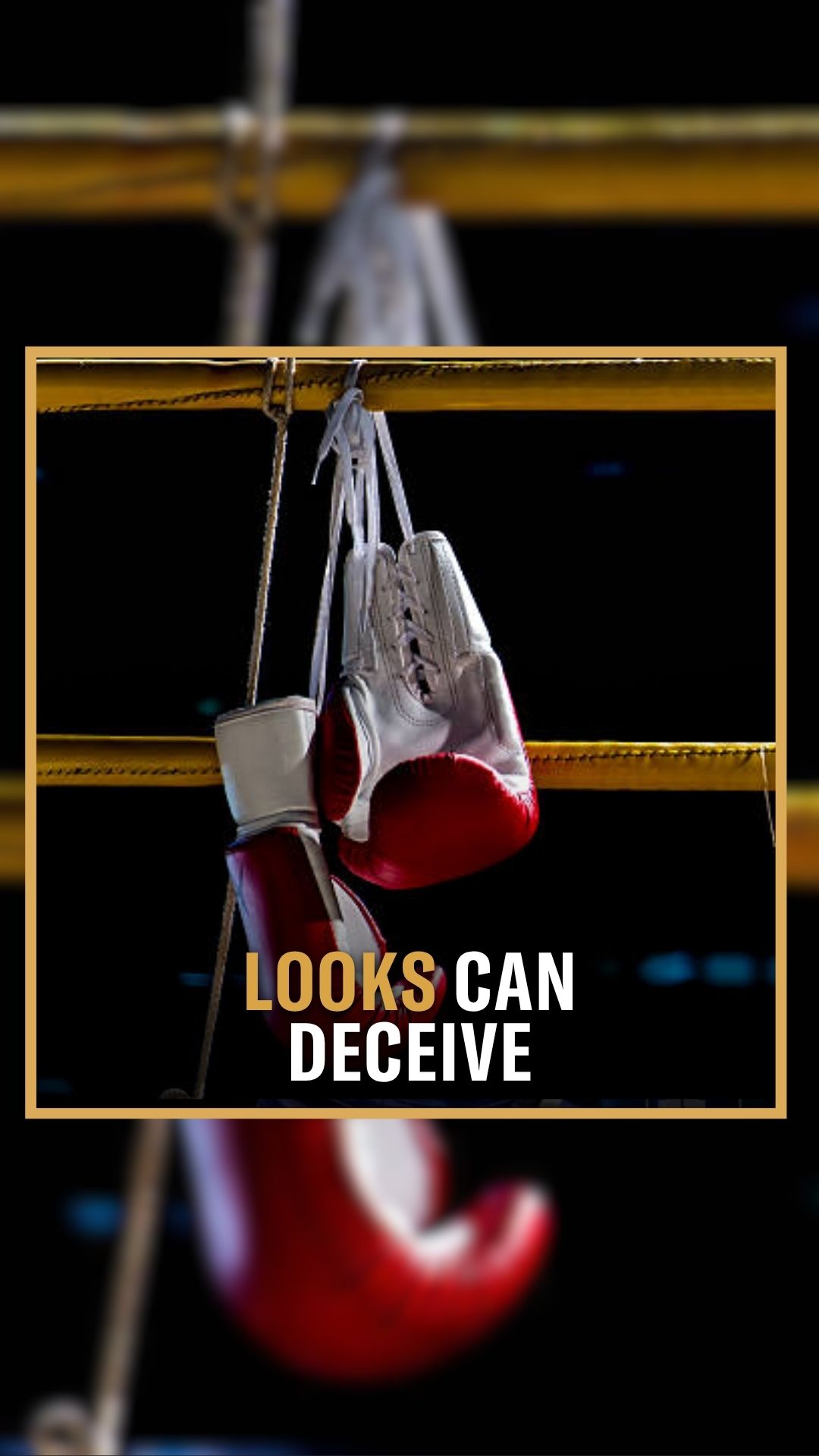 Lance Novotny: Looks Can Deceive | ...