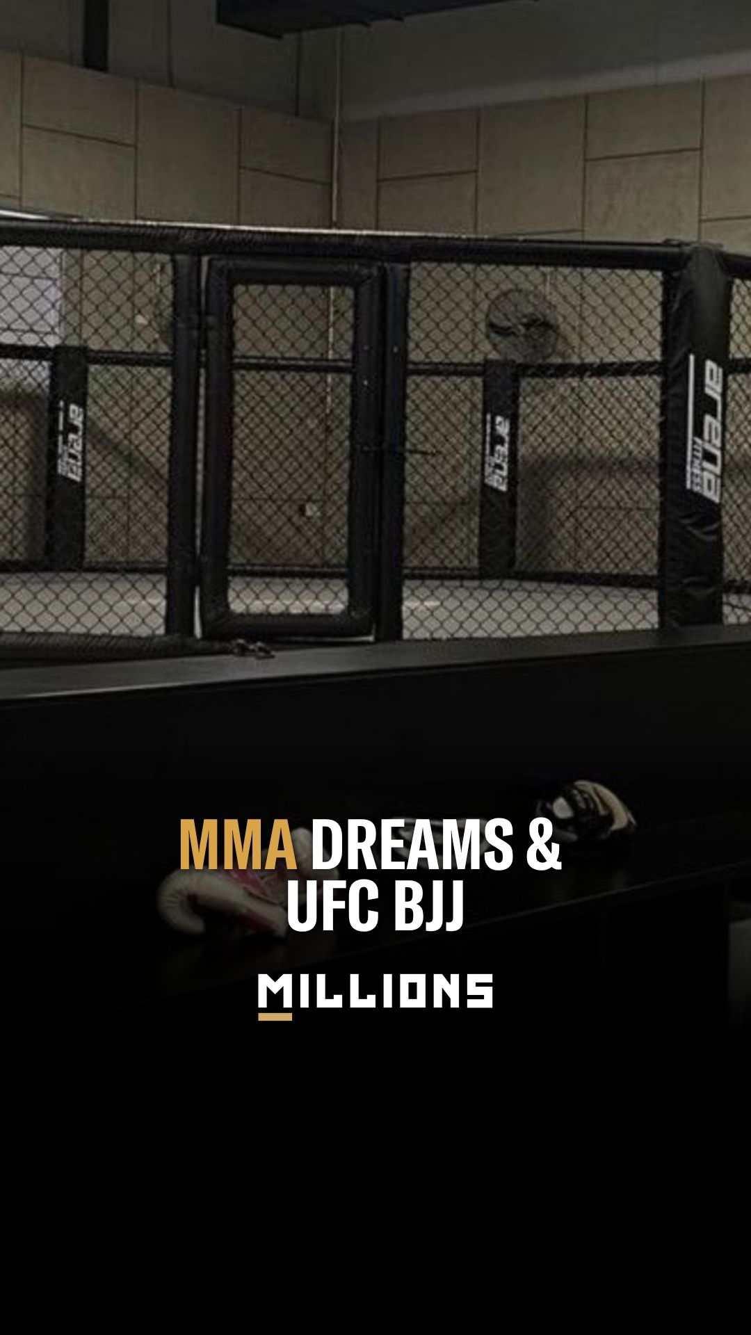 Mark Sheng: MMA Dreams & UFC BJJ: I...