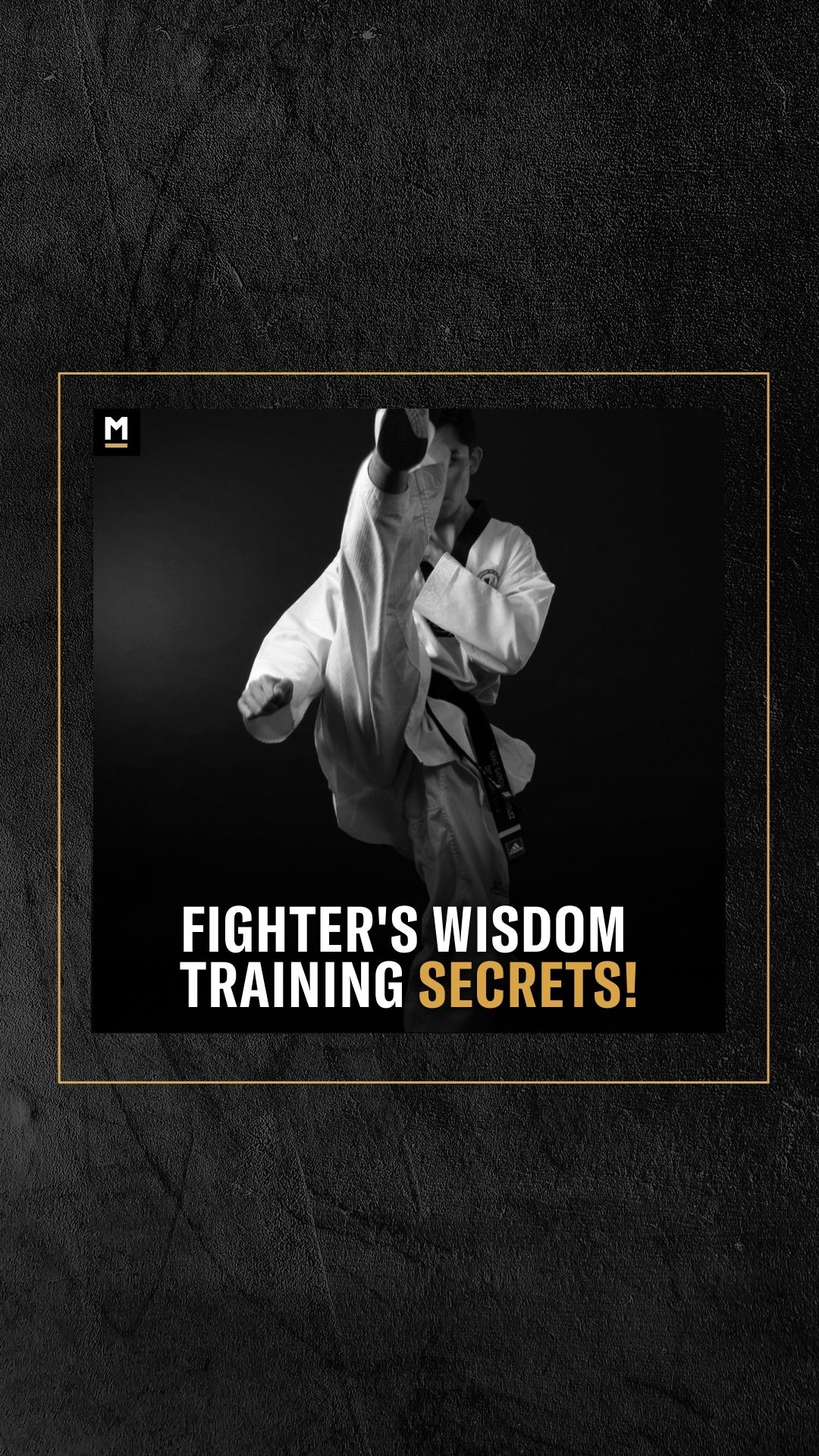 Delia Kolanowski: Fighter's Wisdom ... on MILLIONS Delia Kolanowski: Fighter's Wisdom ...