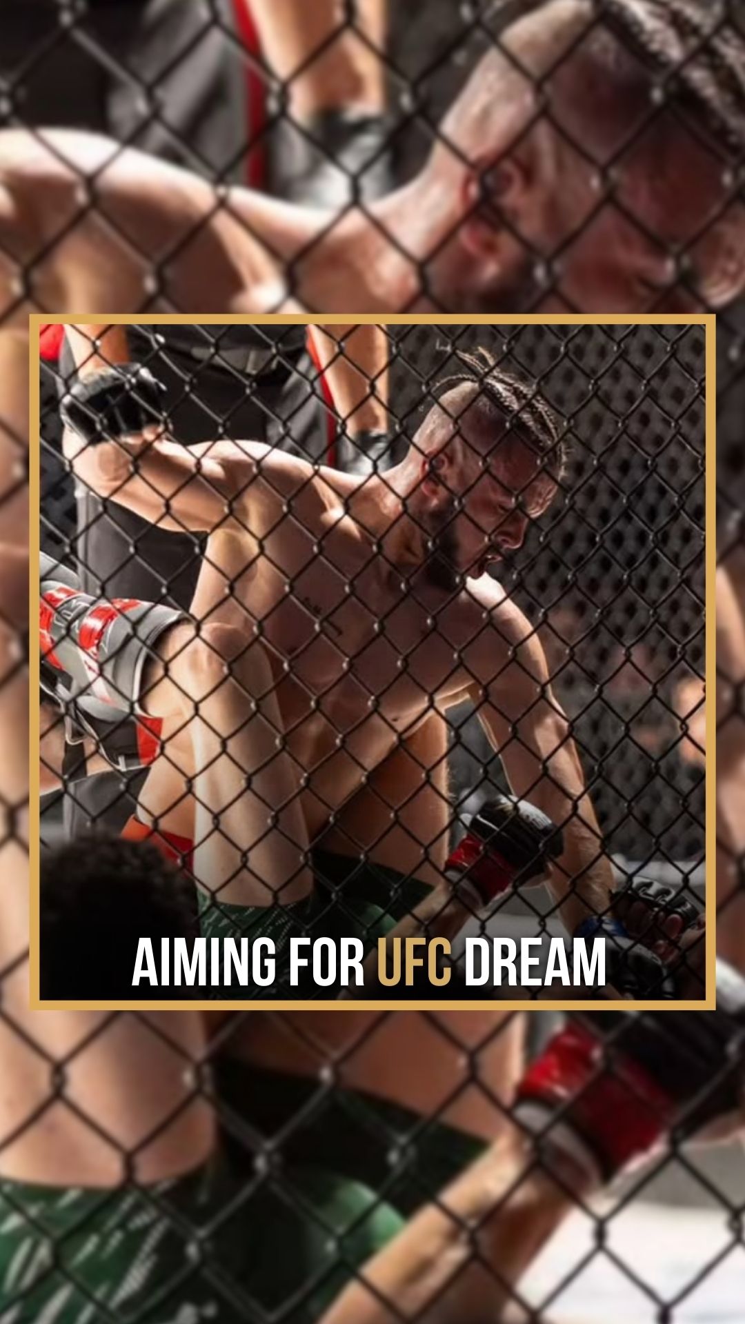 Michael Gomes: From Jiu-Jitsu to UF...