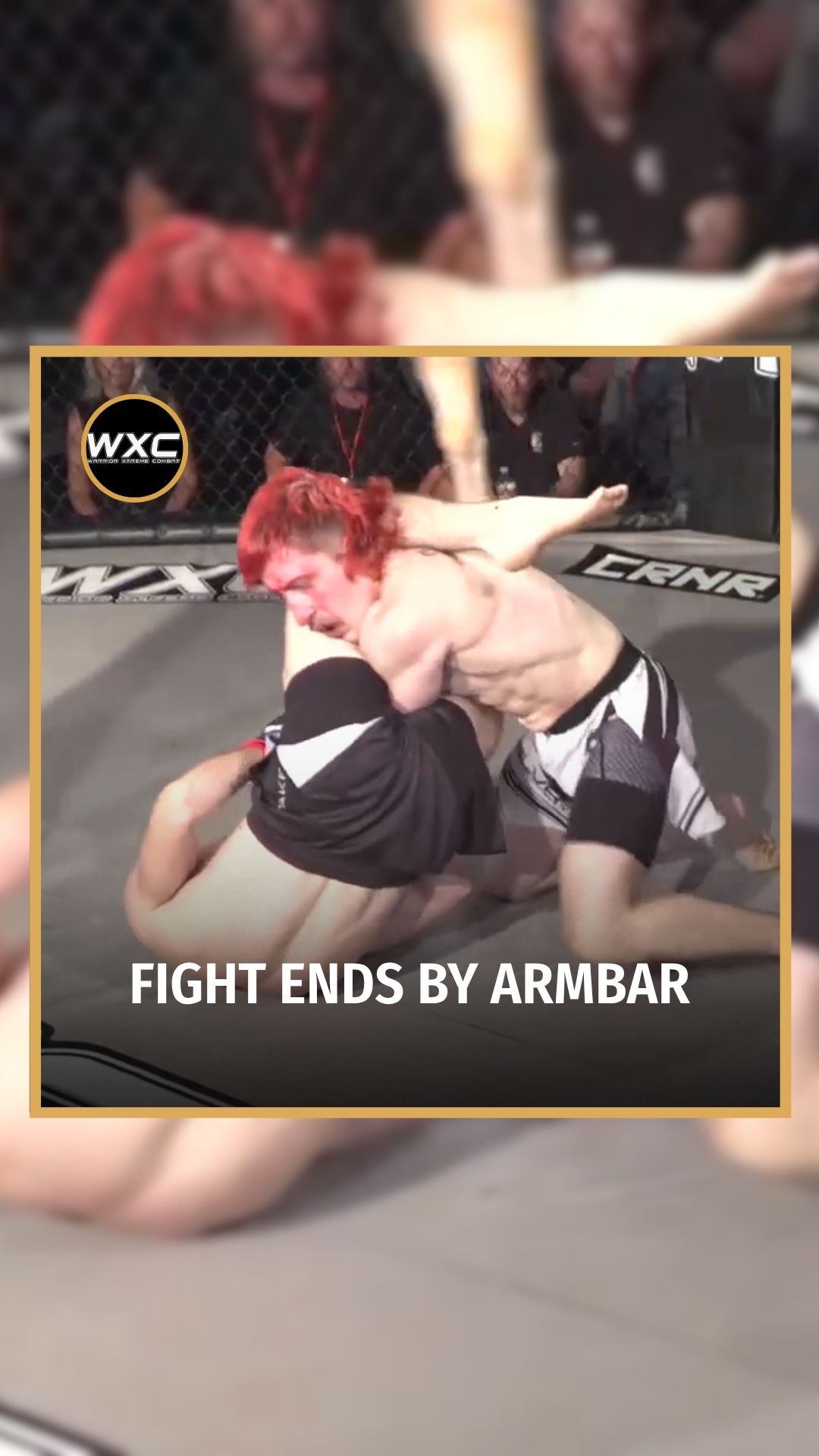 Mason Gregorich: Fight Ends By Armb...