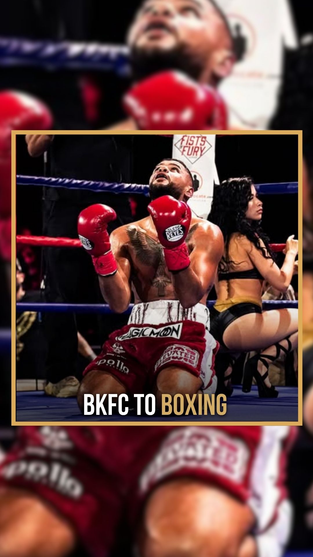 Montaser Aboughaky: A Fighter's Cho...