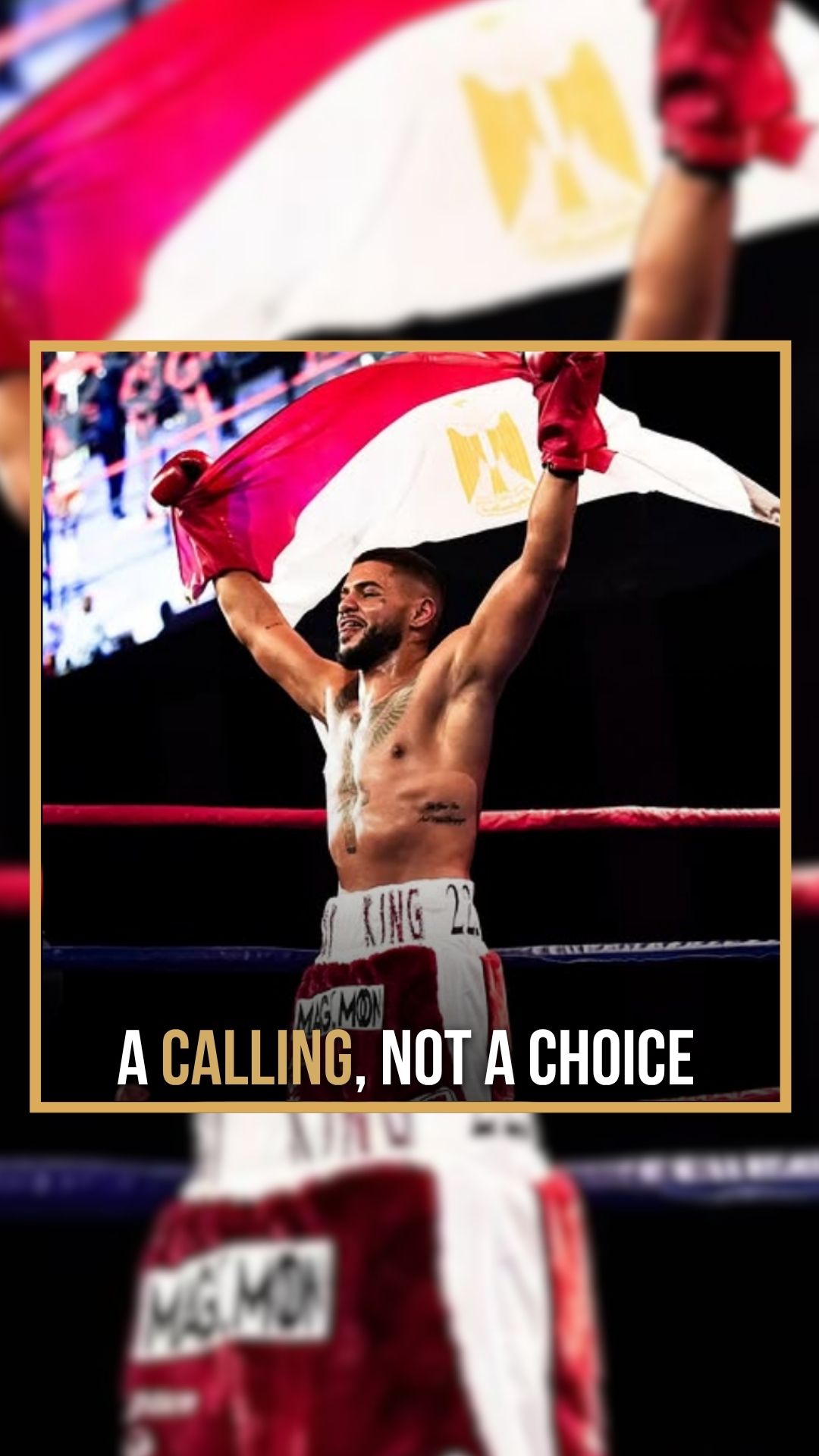 Montaser Aboughaly: Boxing Chose Me...