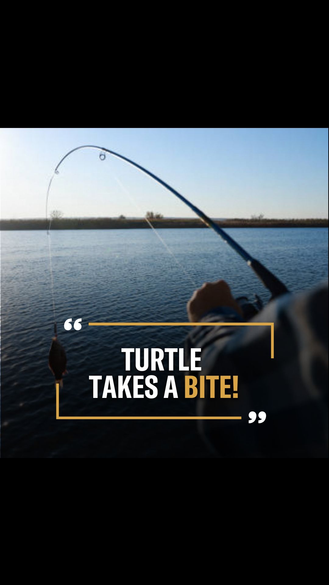 Reece Tremaglio: Turtle Takes a Bit...