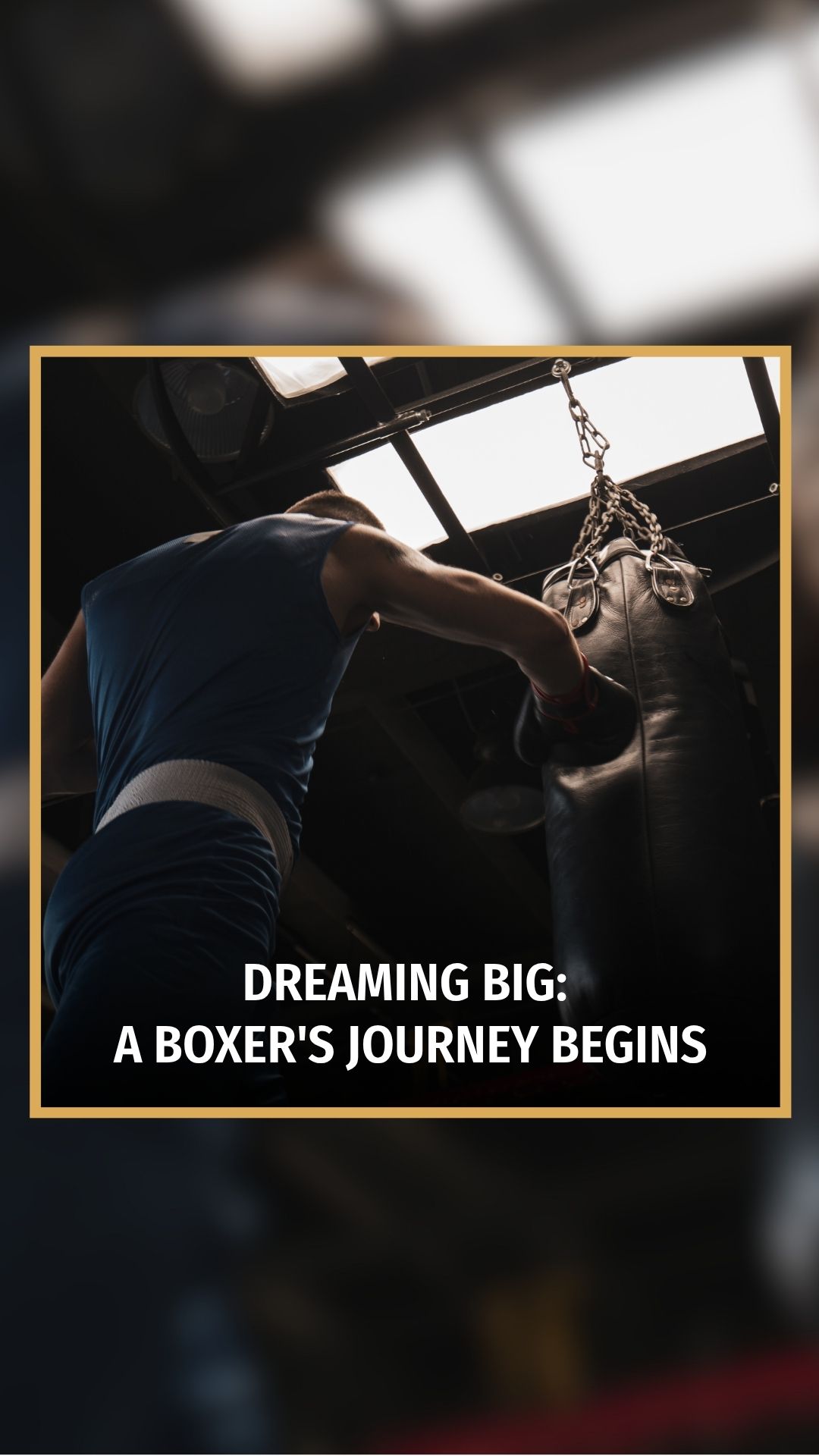 Shahim Akbari: Dreaming Big: A Boxe...