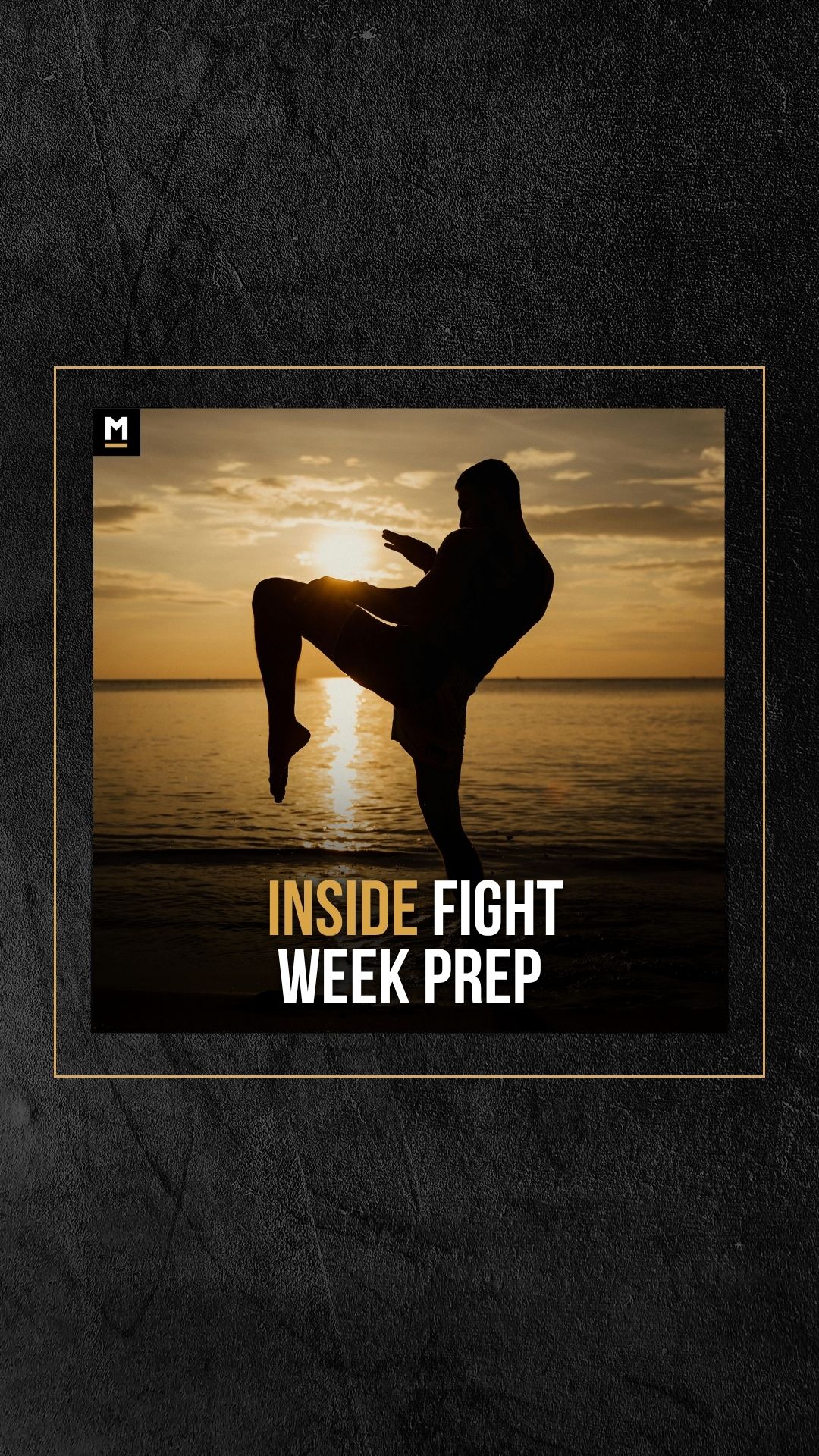 Shaya Mahdavi: Fight Week – Trainin... on MILLIONS Shaya Mahdavi: Fight Week – Trainin...