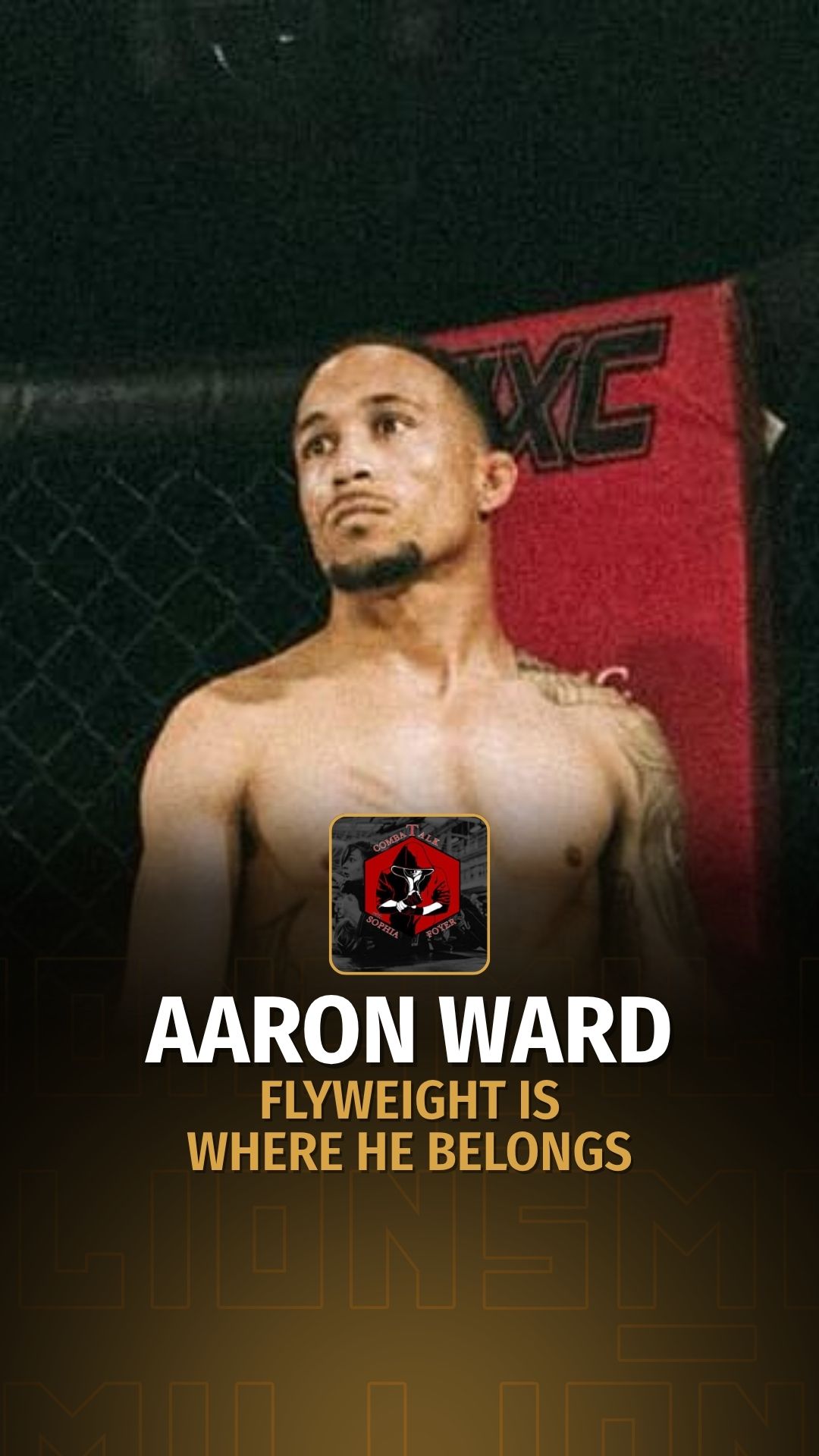 Aaron Ward: The UFC Run Starts Here...
