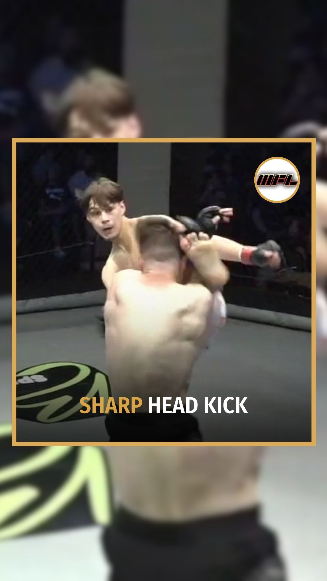 Michiana Fight League: Sharp Head K...