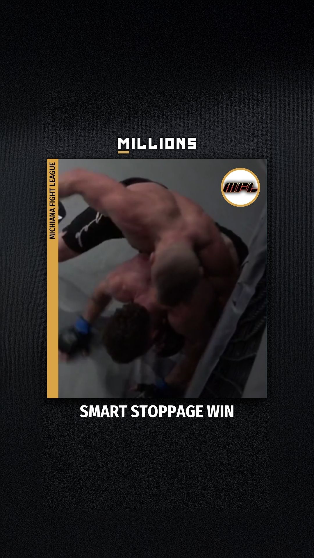 Michiana Fight League: Smart Stoppa...