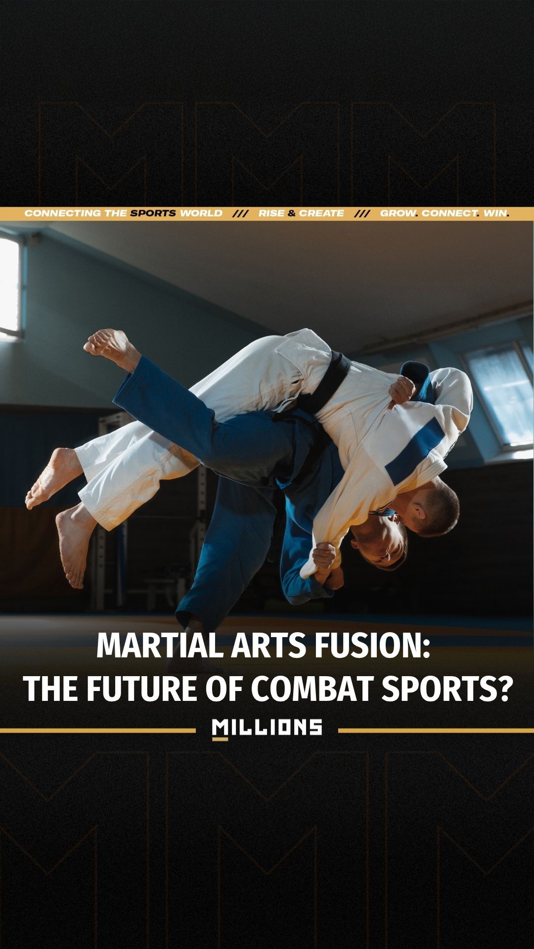 Siddhu McLeod: Martial Arts Fusion:...