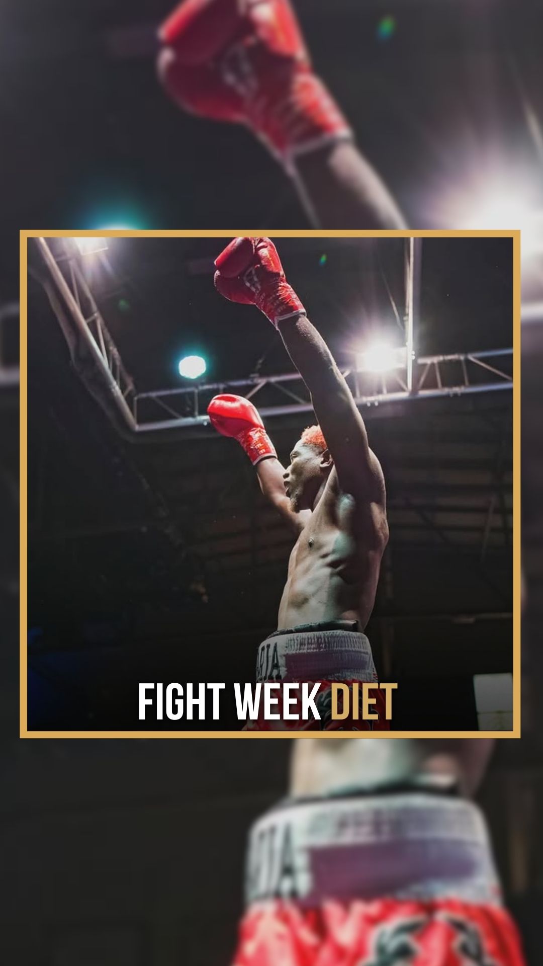 Wade Faria: Fight Week Diet: Protei...