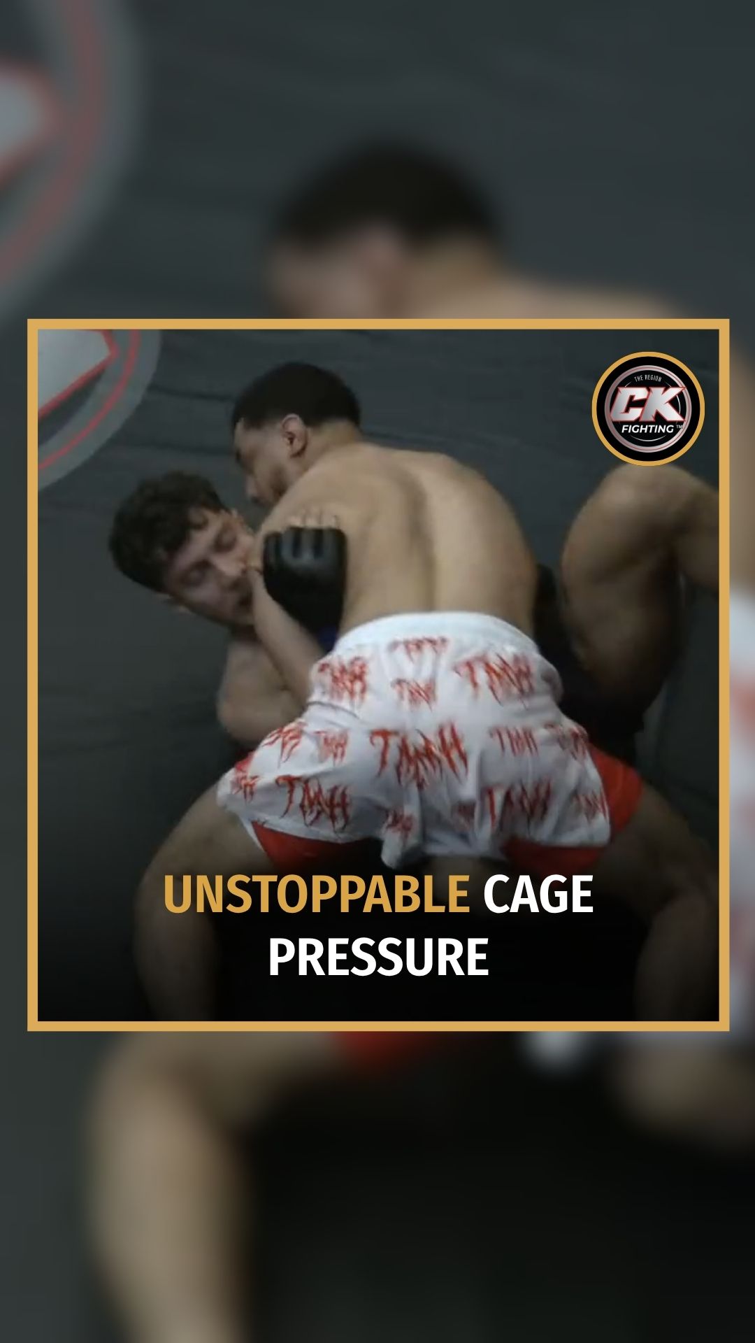Walid Himdi: Unstoppable Cage Press...