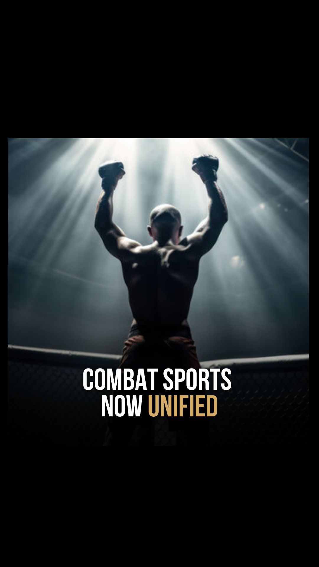 William Hwang: Combat sports now un...