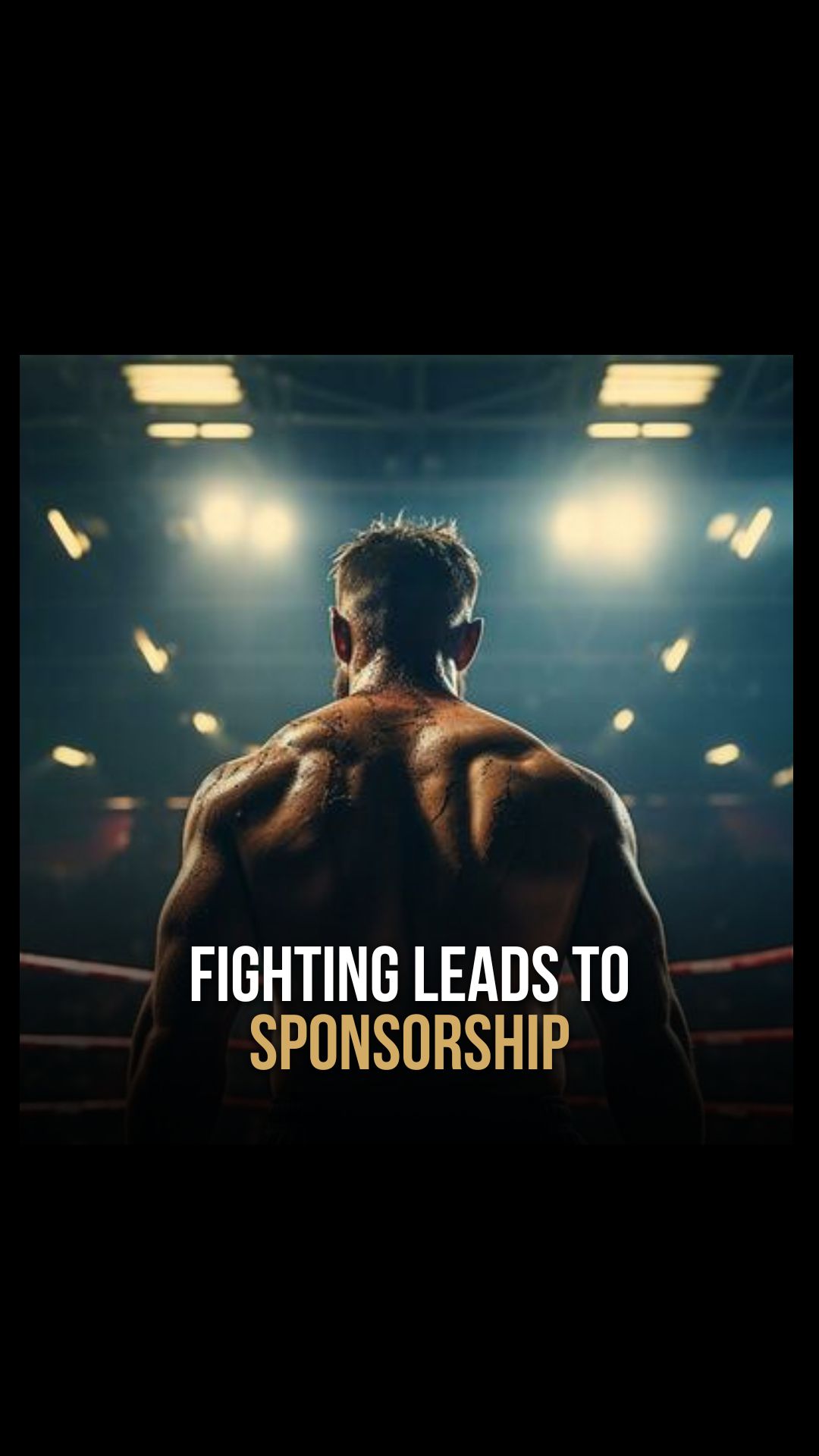 William Hwang: Fighting leads to sp...