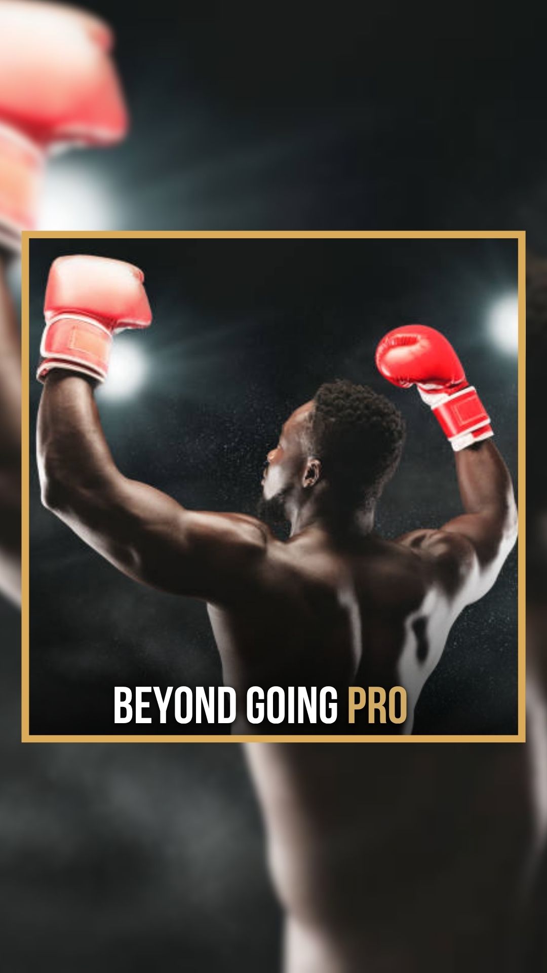 Wyld Wayne: Building A Boxing Style...
