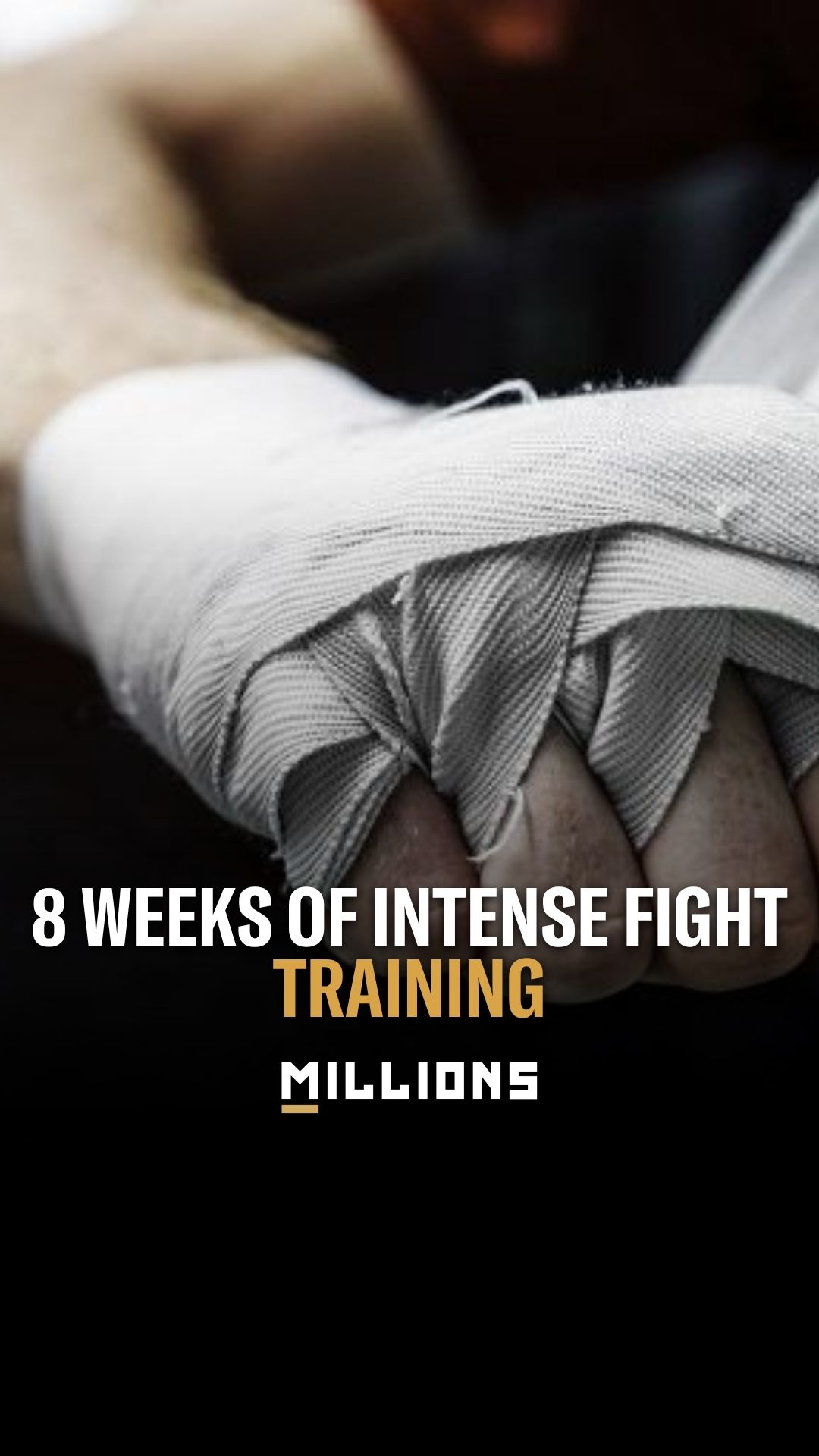 Zac Arabi: 8 Weeks of Intense Fight...