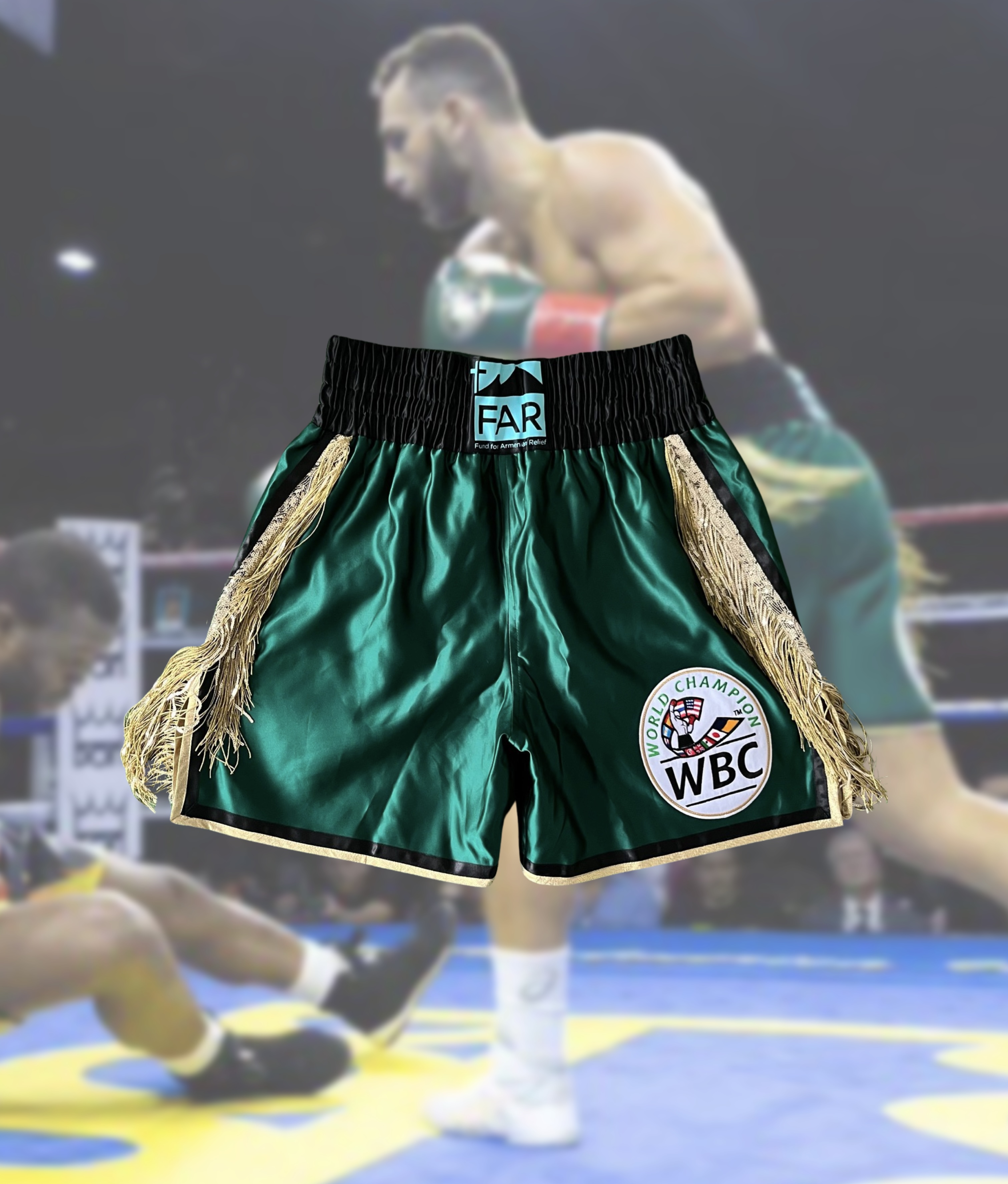 World Championship worn and won fight trunks 