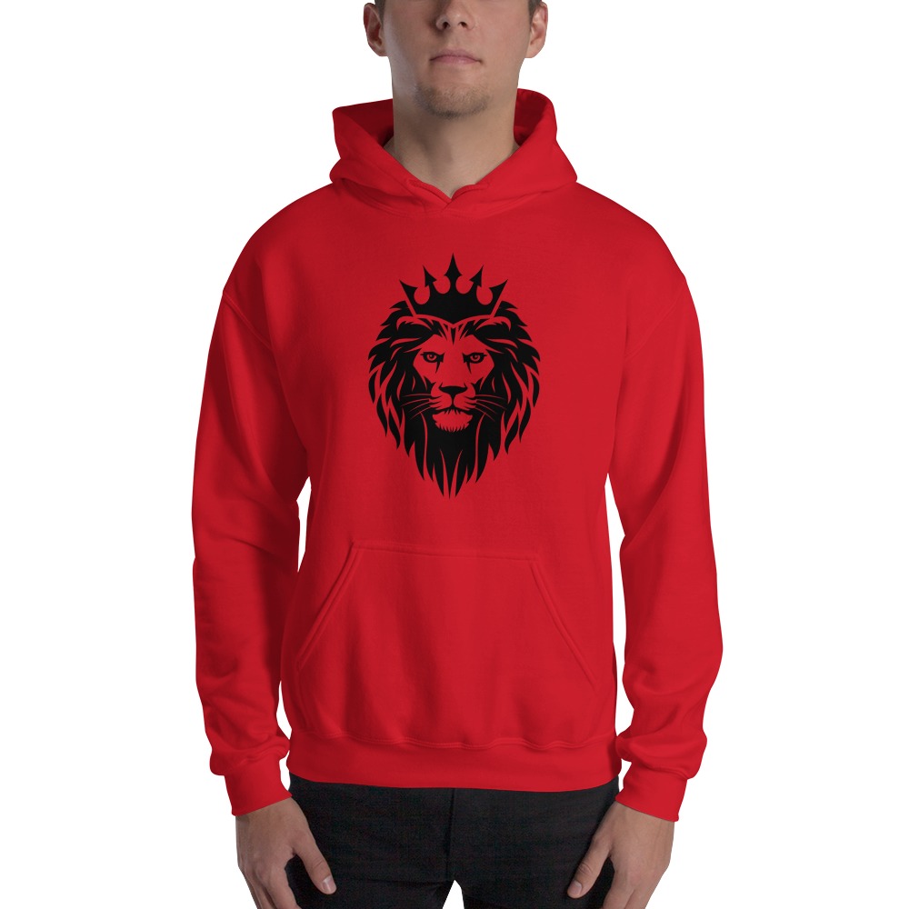 Mahmoud Sebie, Hoodie